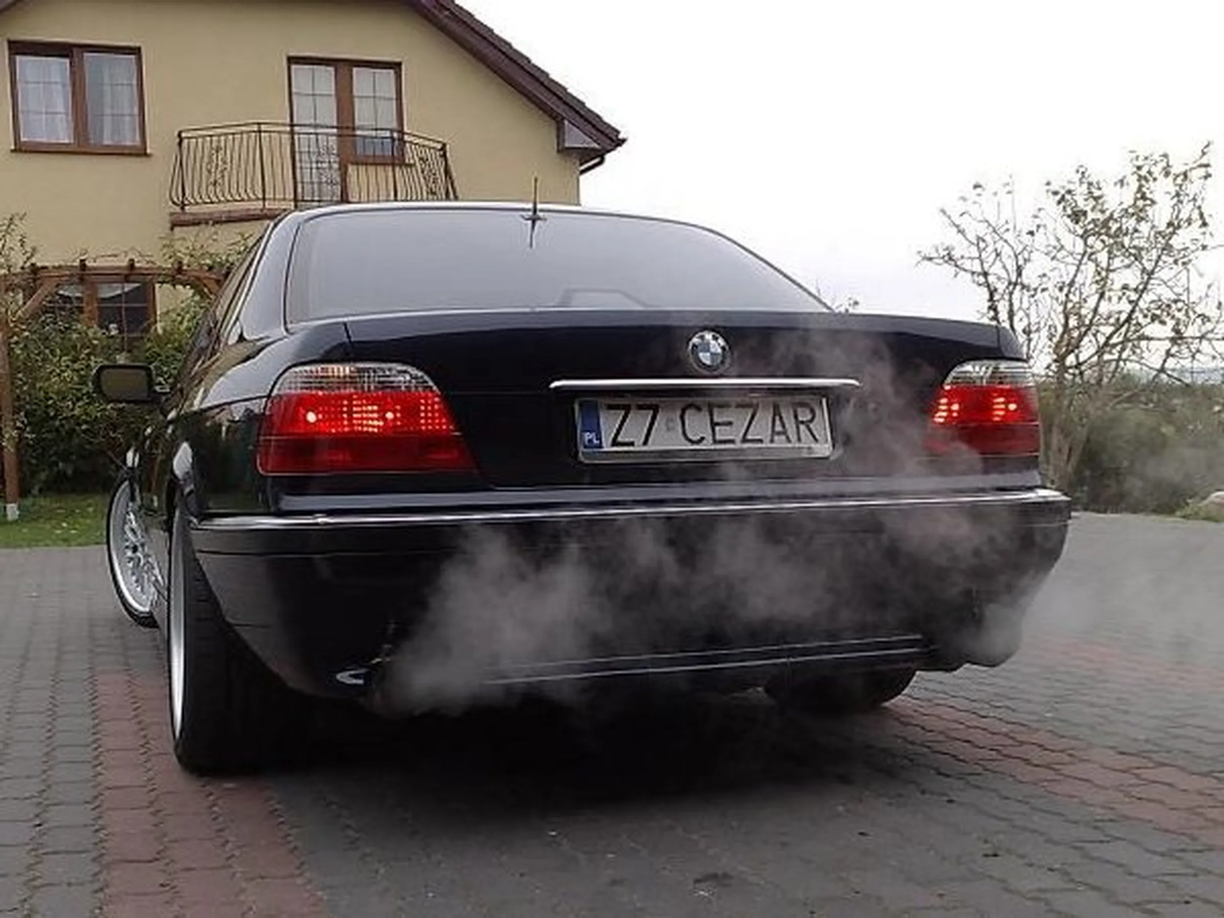 Fajny numer, blacha Z7 CEZAR