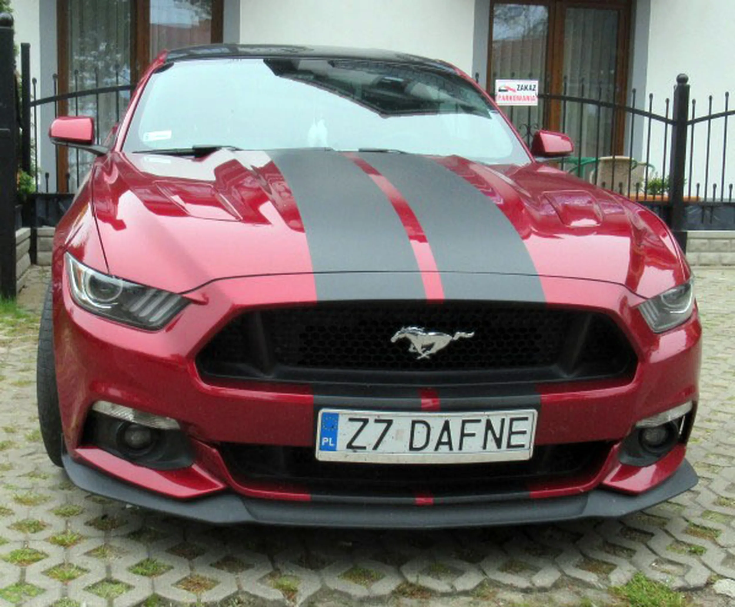 Fajny numer, blacha Z7 DAFNE