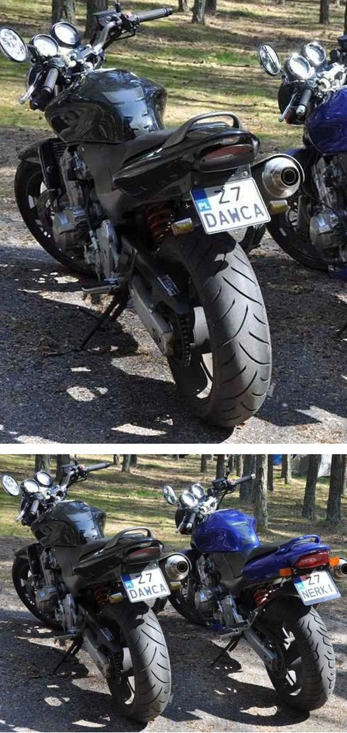 Fajny numer, blacha Z7 DAWCA