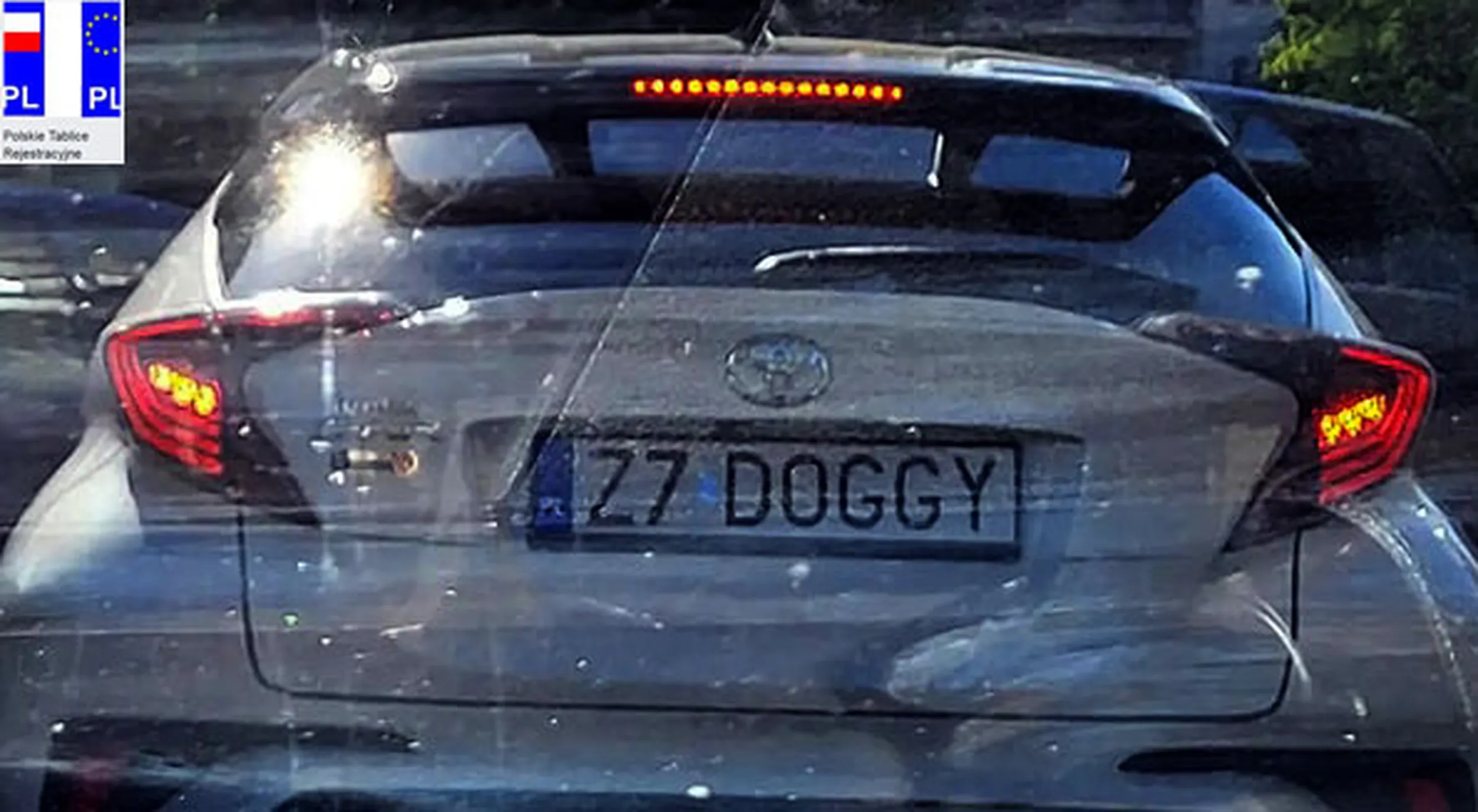 Fajny numer, blacha Z7 DOGGY