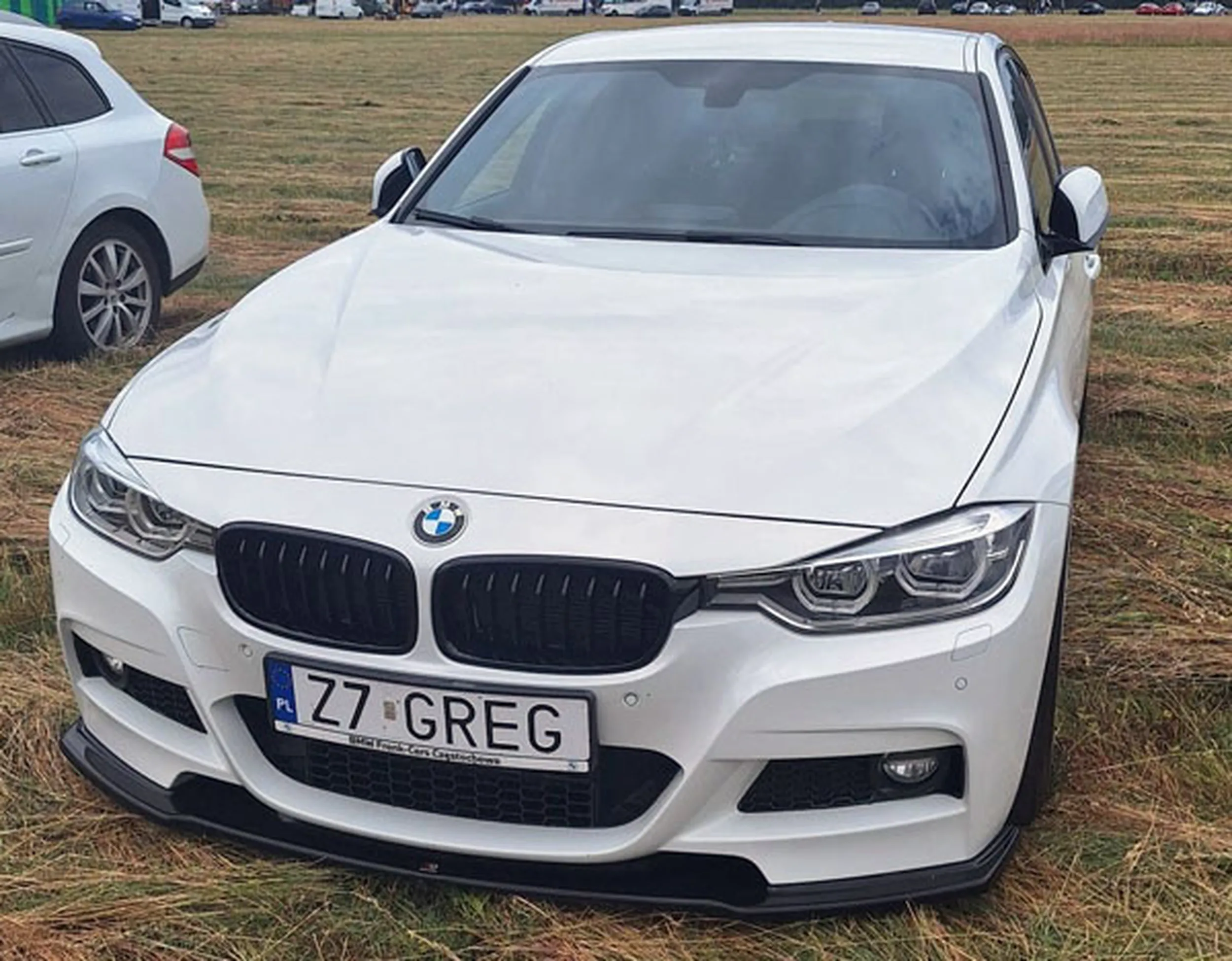 Fajny numer, blacha Z7 GREG