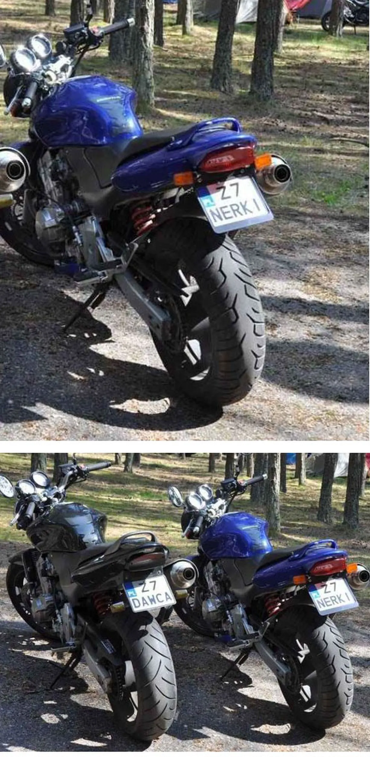 Fajny numer, blacha Z7 NERKI