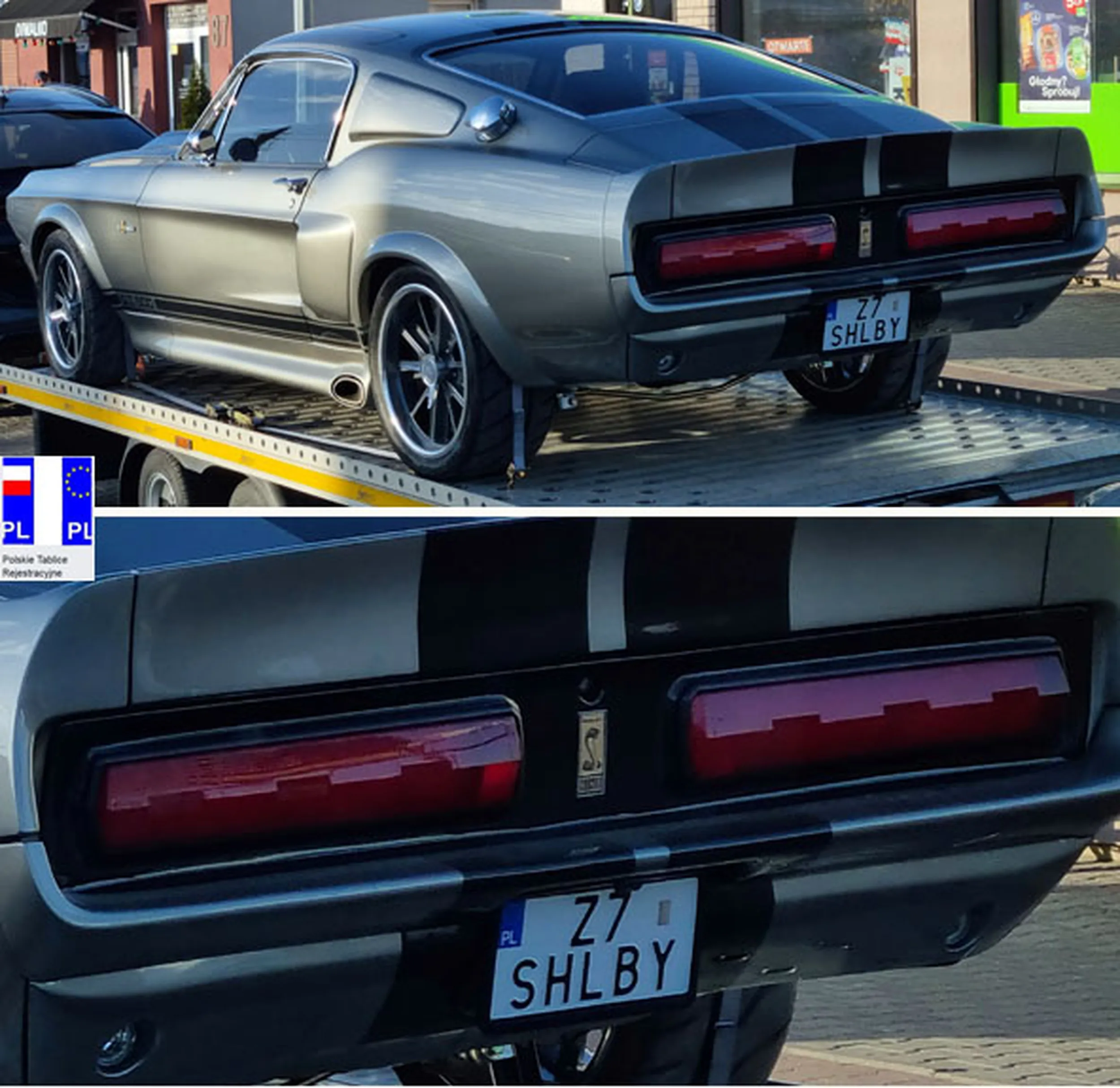 Fajny numer, blacha Z7 SHLBY