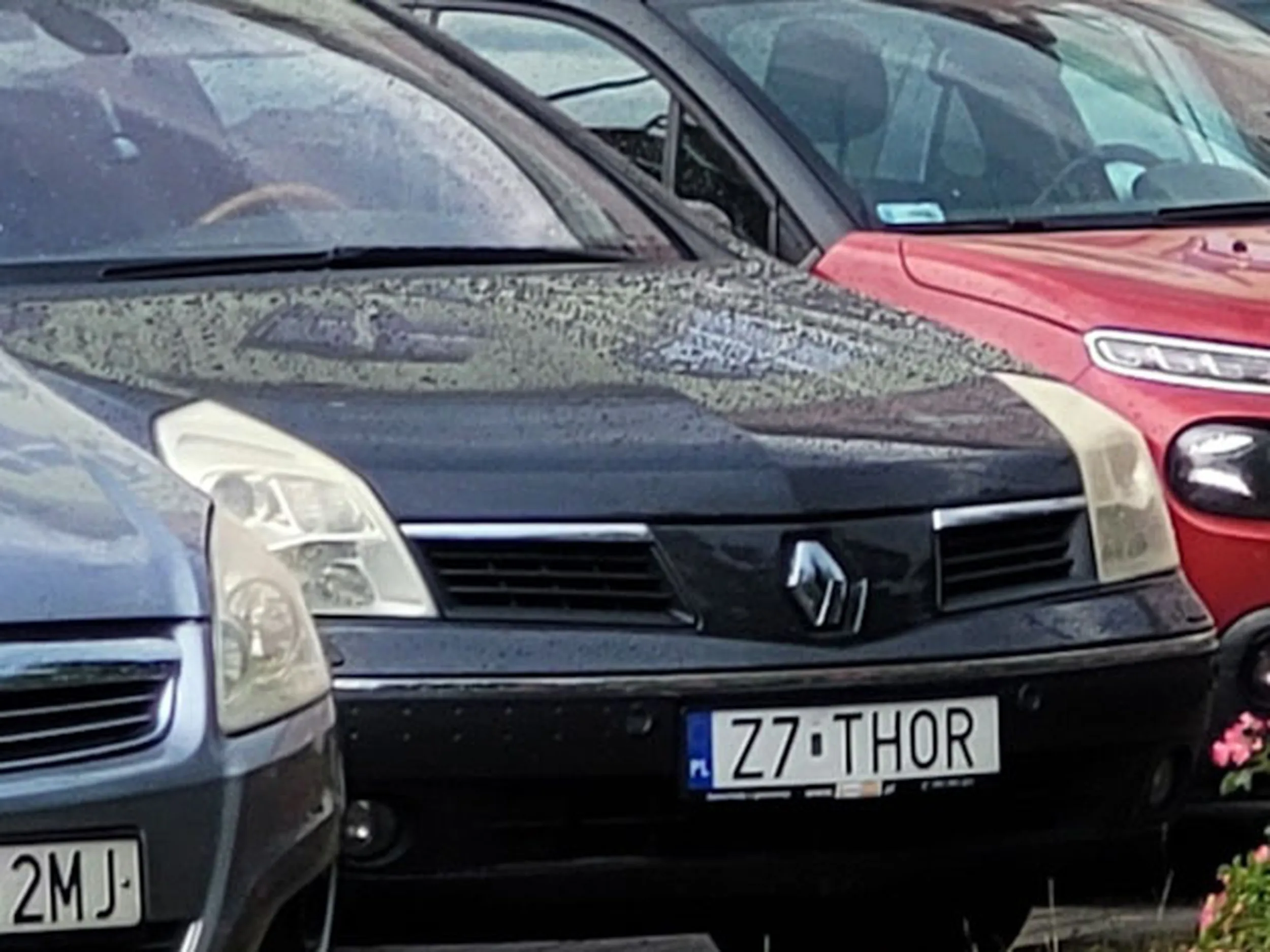 Fajny numer, blacha Z7 THOR