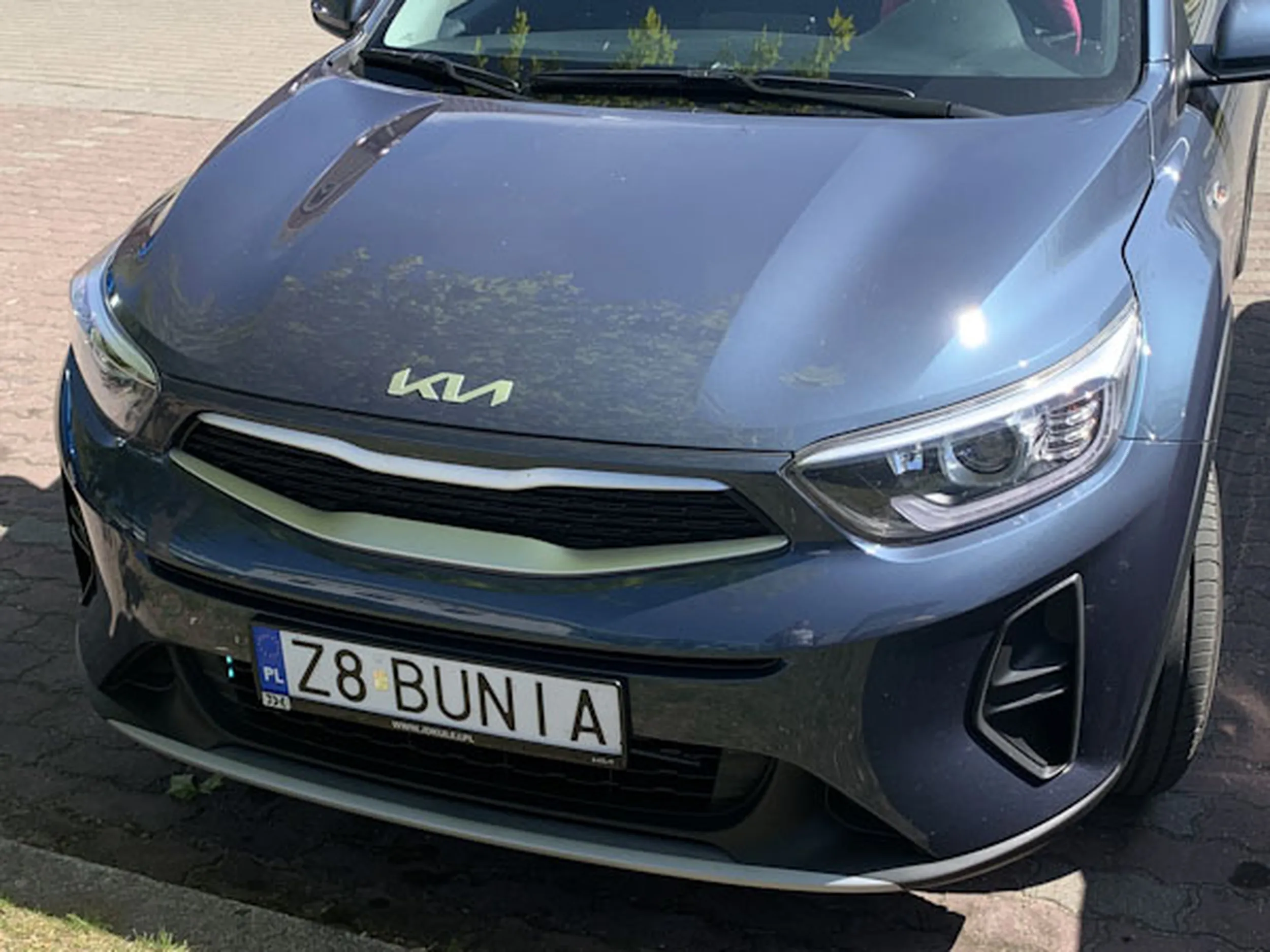 Fajny numer, blacha Z8 BUNIA