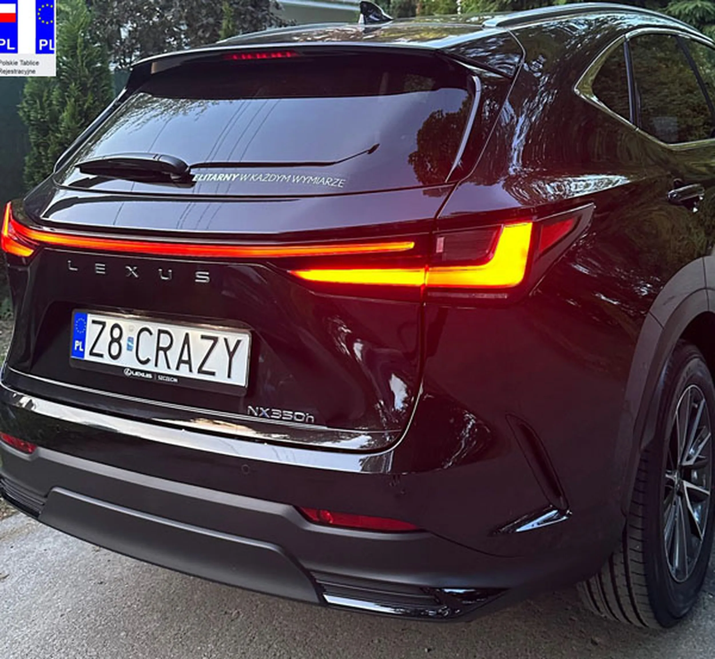 Fajny numer, blacha Z8 CRAZY