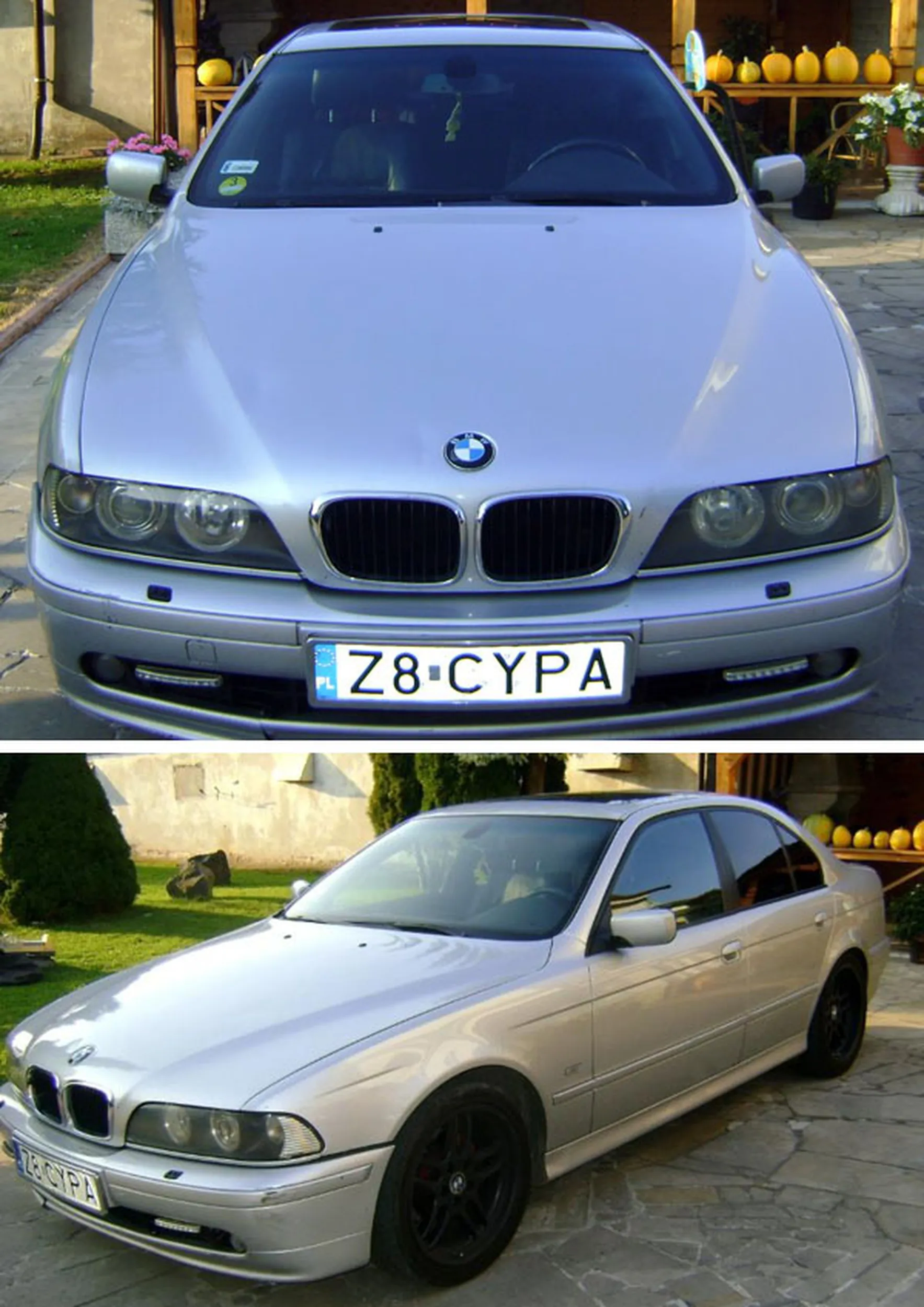 Fajny numer, blacha Z8 CYPA