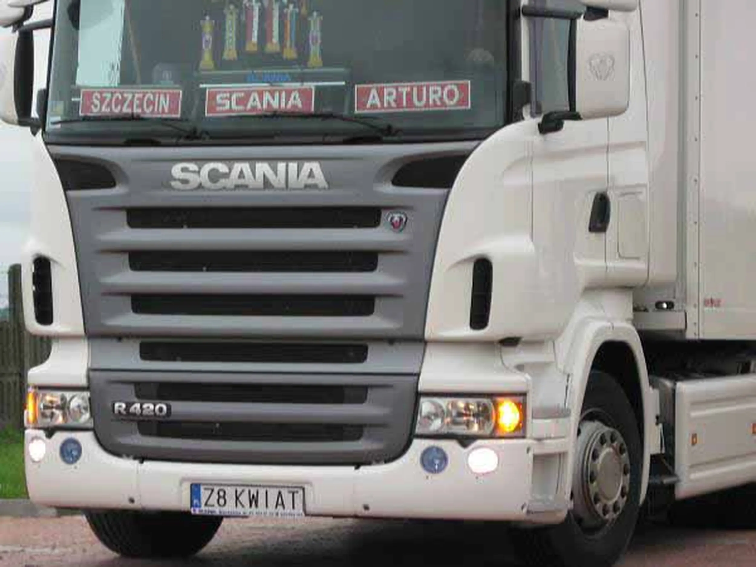 Fajny numer, blacha Z8 KWIAT