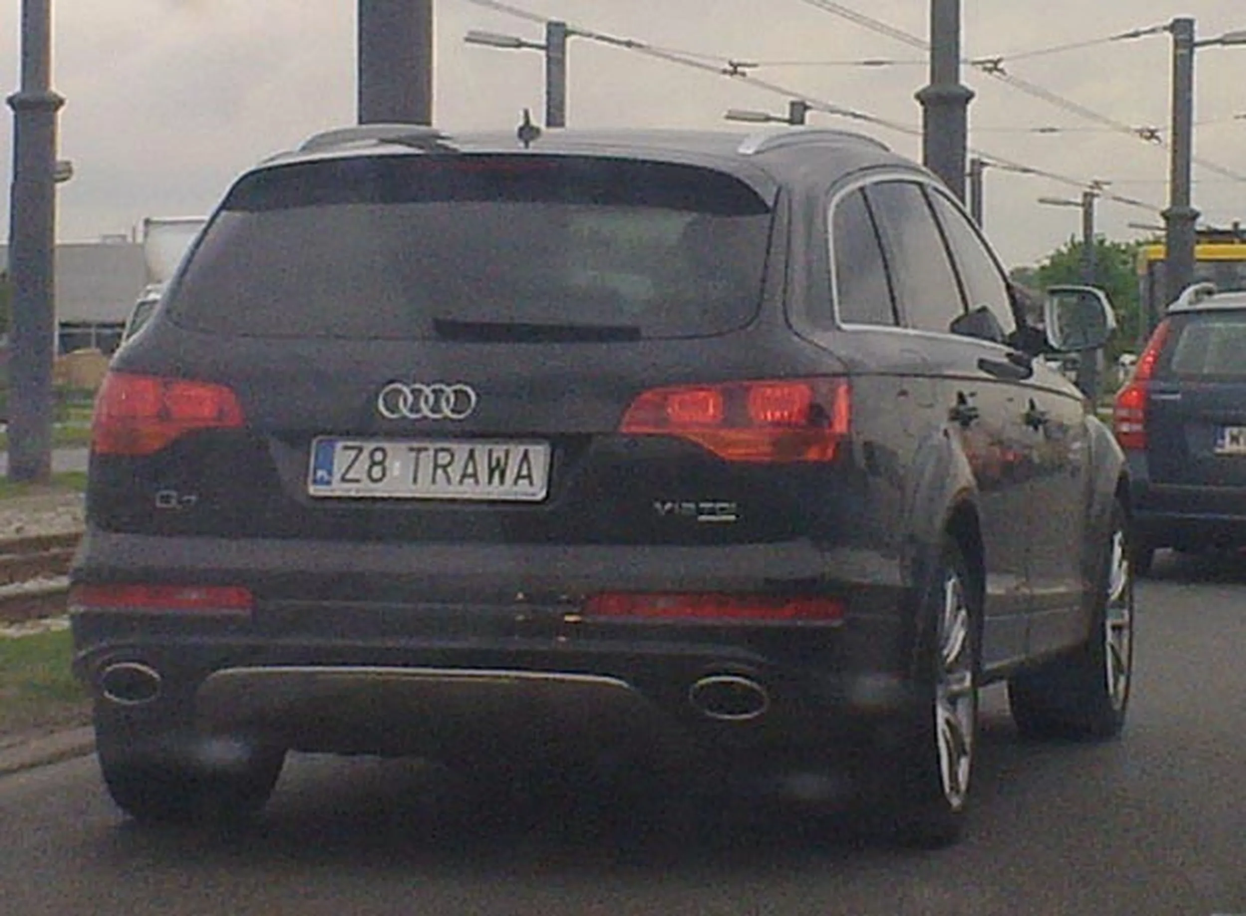 Fajny numer, blacha Z8 TRAWA