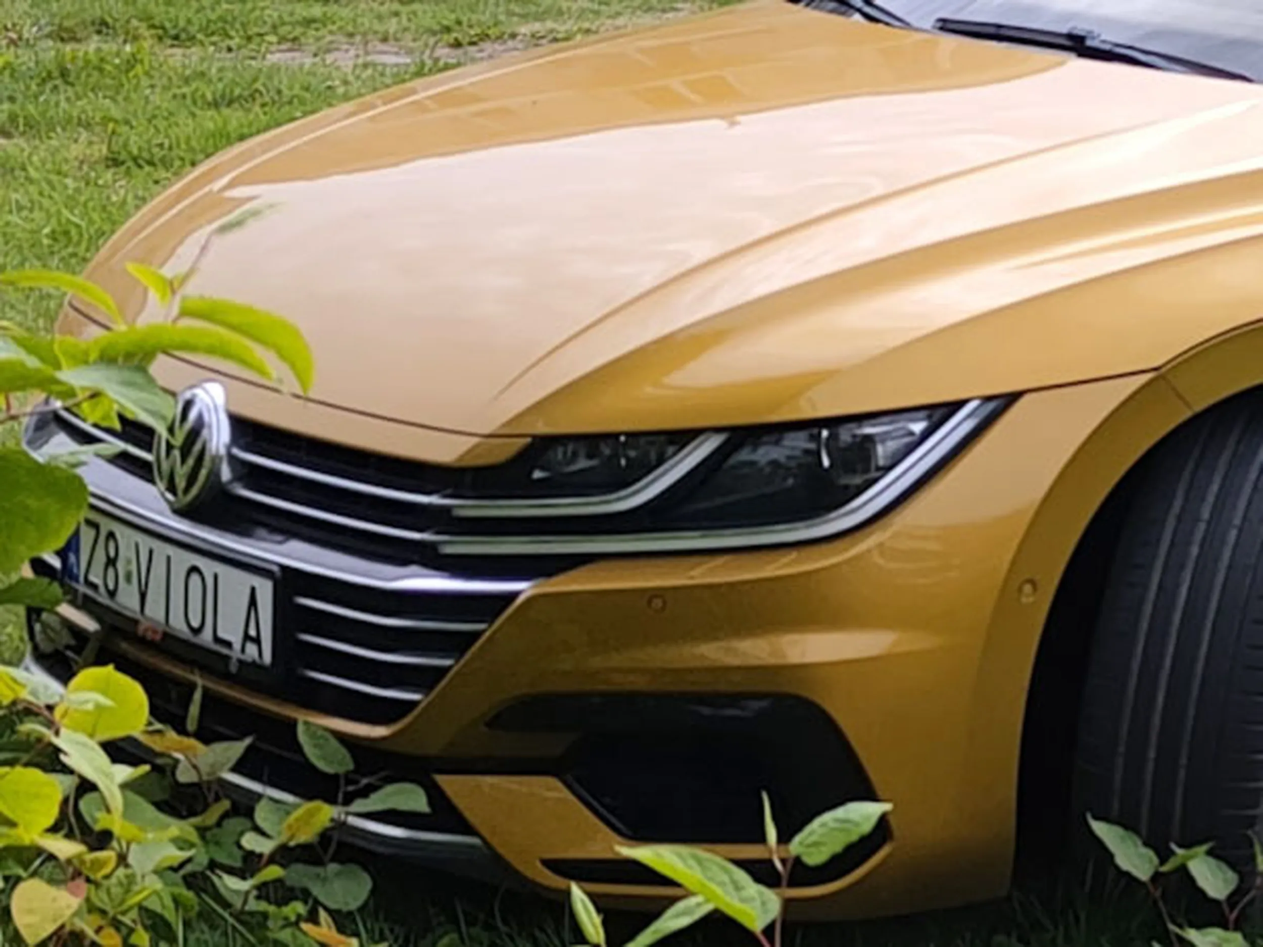 Fajny numer, blacha Z8 VIOLA