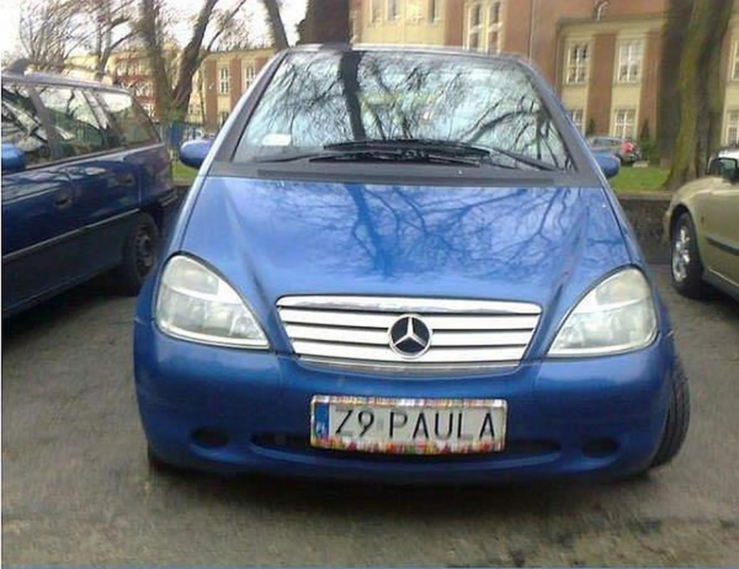 Fajny numer, blacha Z9 PAULA