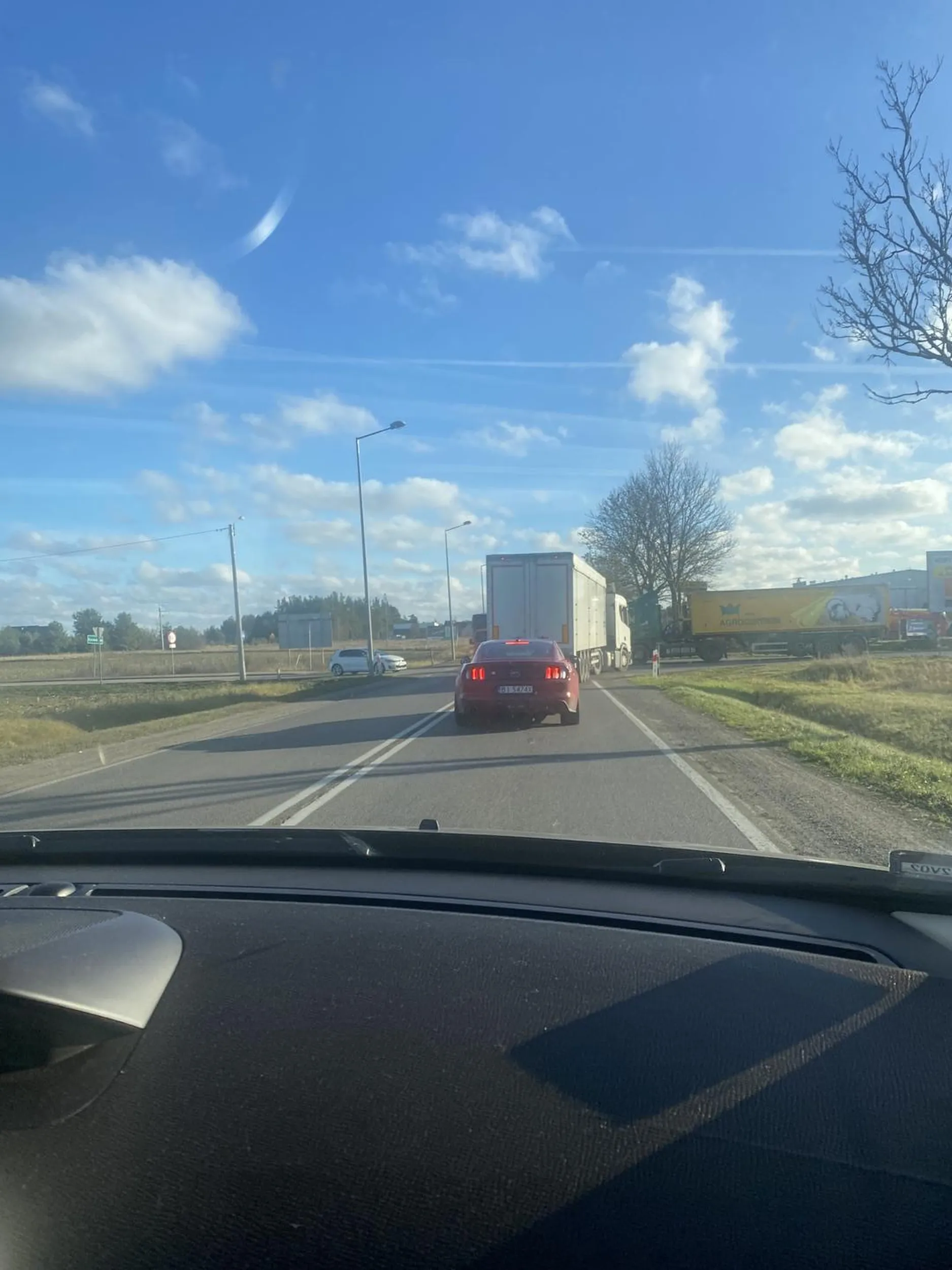 Zajebisty mustang :)