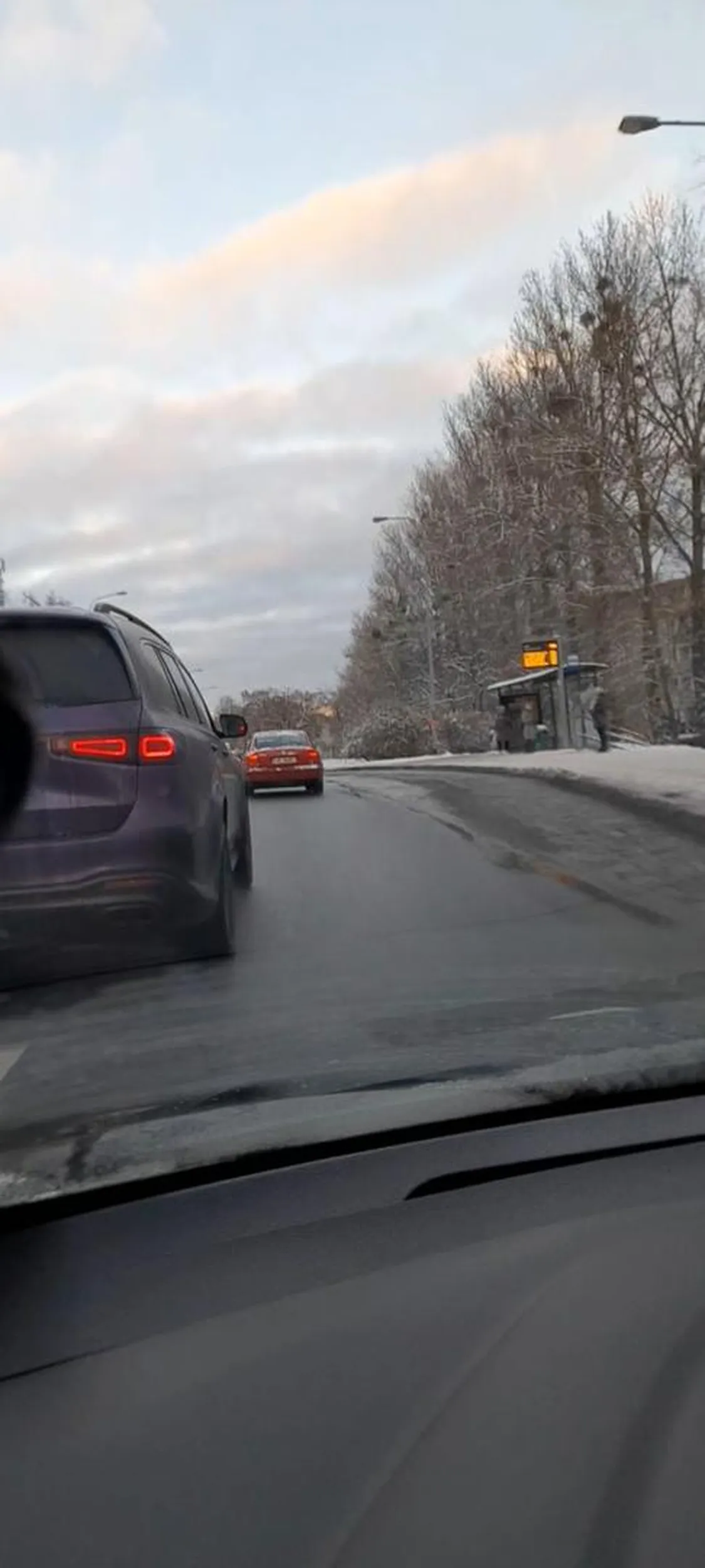 Naucz się używać kierunków łosiu  nie jesteś  sam na drodze