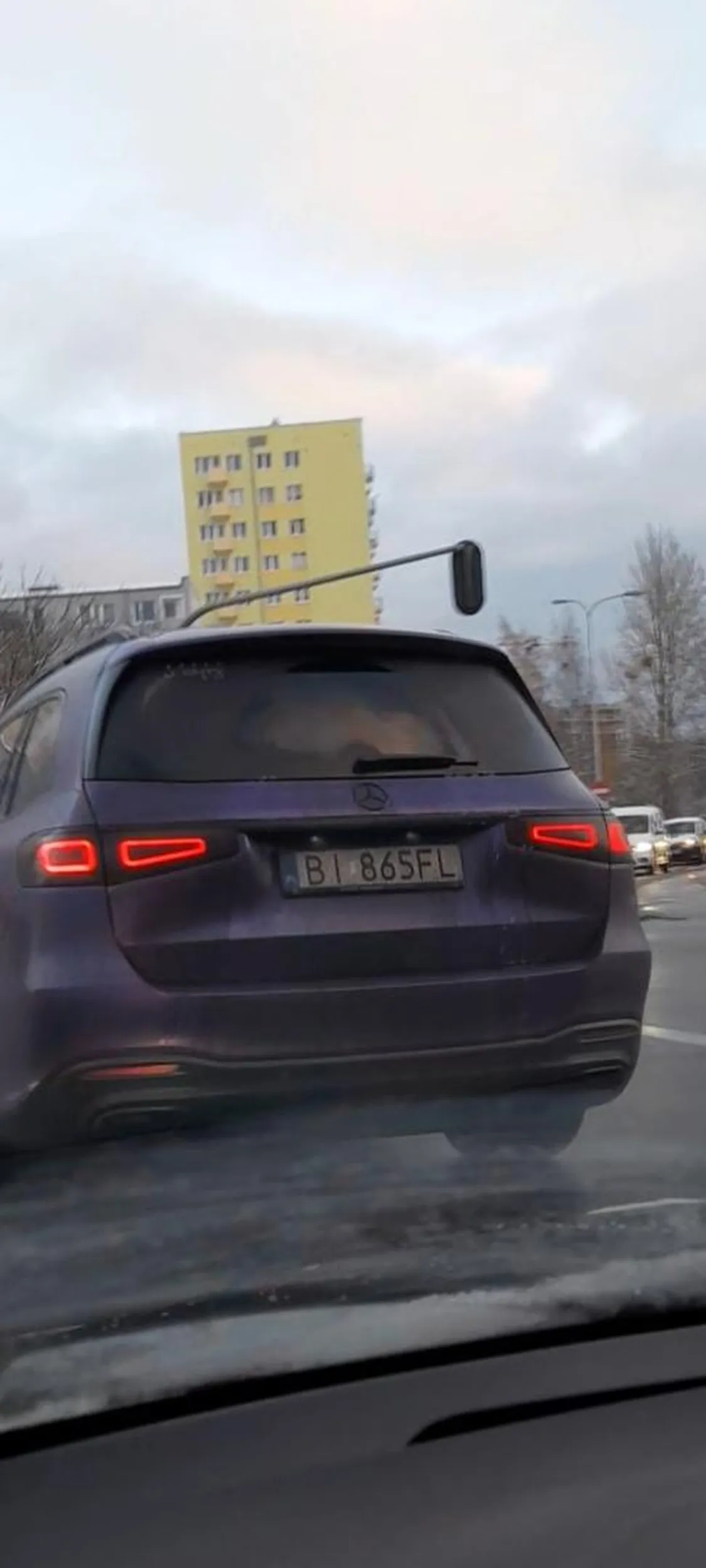 Naucz się używać kierunków łosiu  nie jesteś  sam na drodze