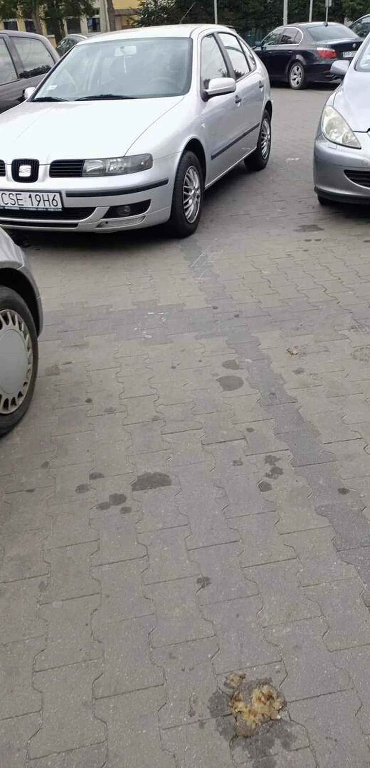 Zaparkował nasrał i polazł, masakra, zero humanitaryzmu ?‍♂️