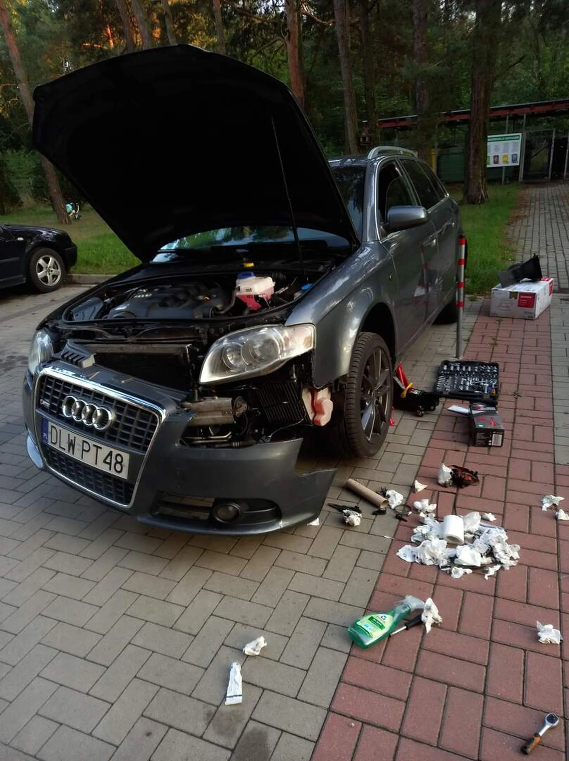 Nie pozdrawiam Pana który prawie codzień sklada na sylikon swoje padło i zaśmieca pół parkingu zużytymi chusteczkami. ?