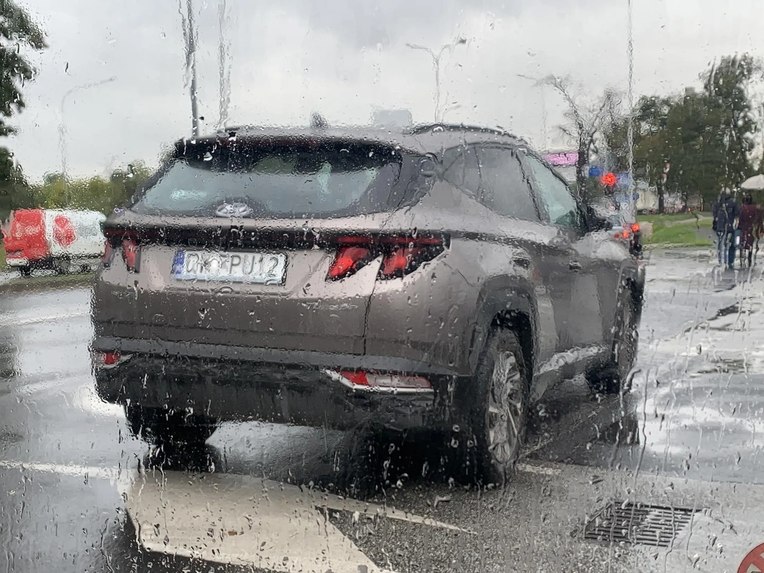 Krowa stanęła na środku parkingu.