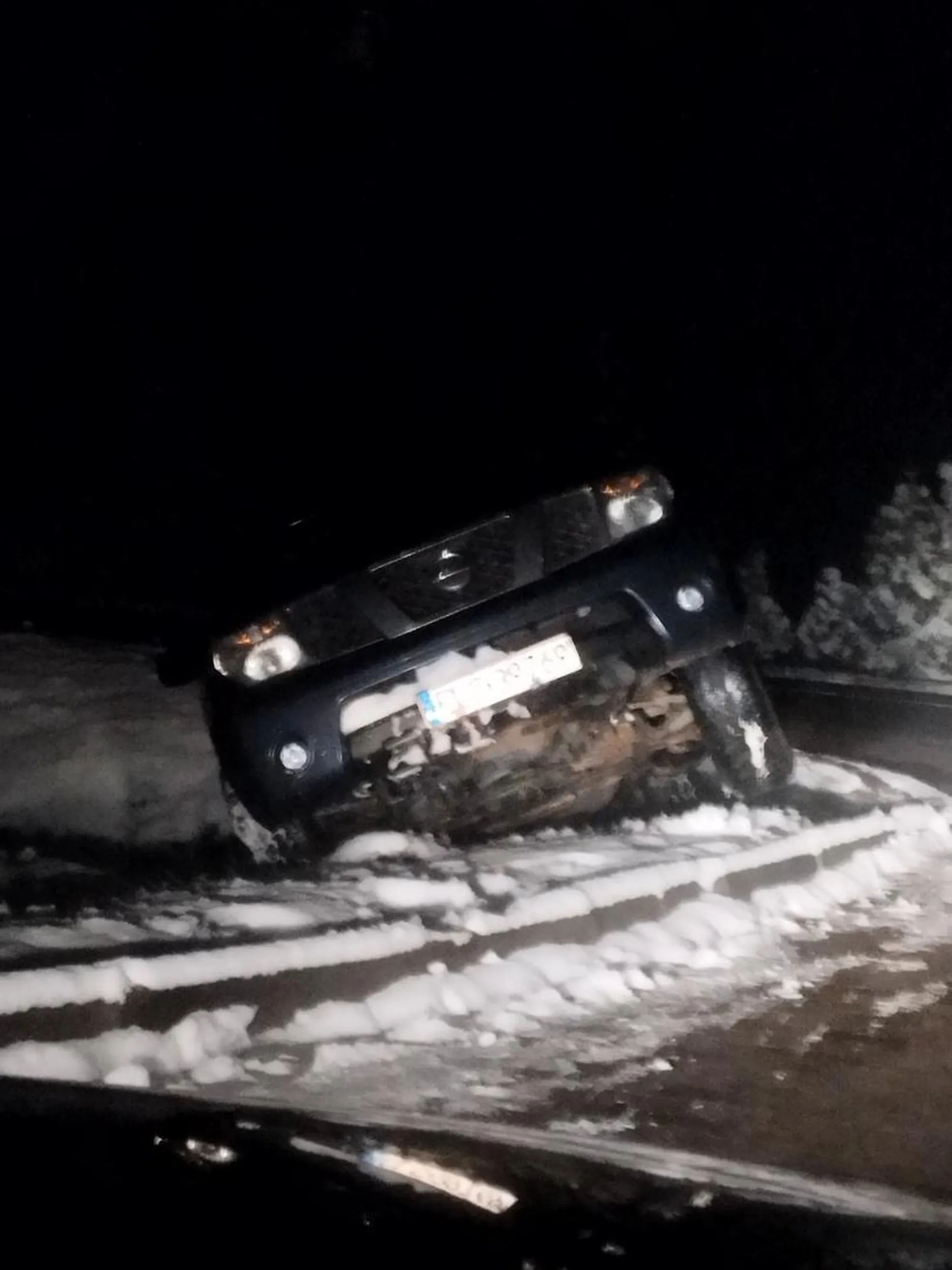 Leży przy Dino, proszę odebrać