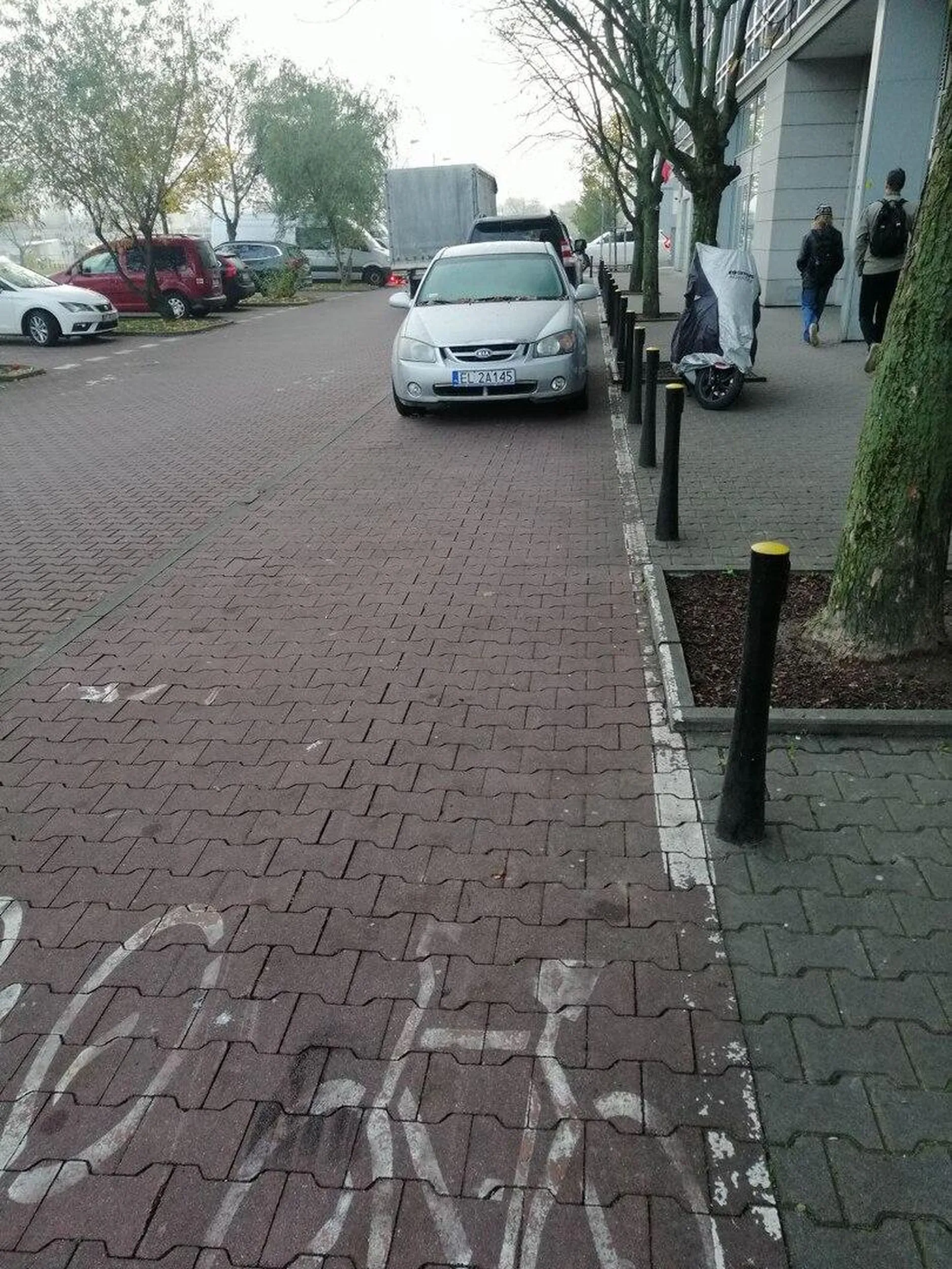 Na ścieżce rowerowej