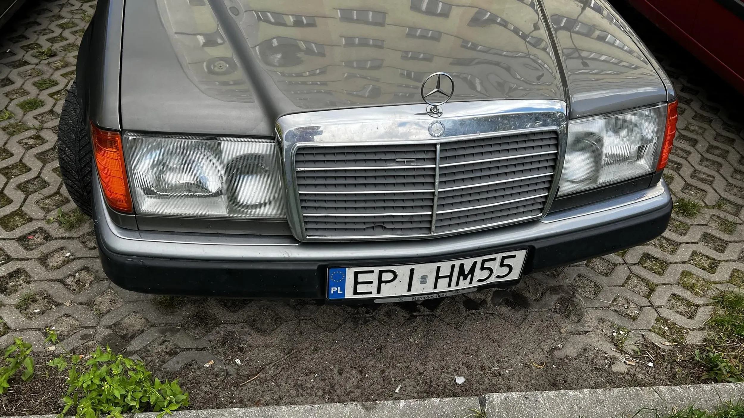 Cham trąbi bez powodu.