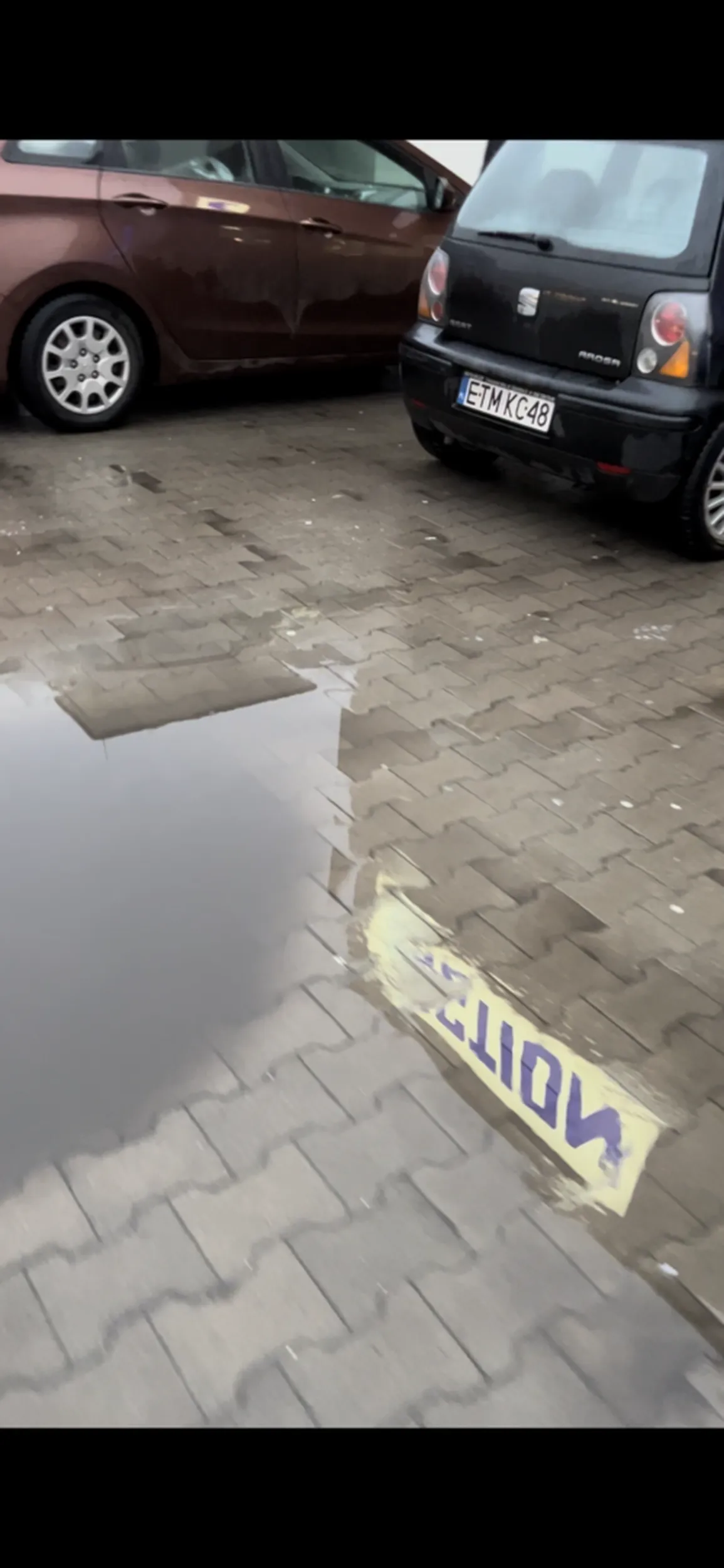 Próbowała rozjeżdżać ludzi na parkingu. Nadpobudliwa, ledwo wystająca zza kierownicy baba..