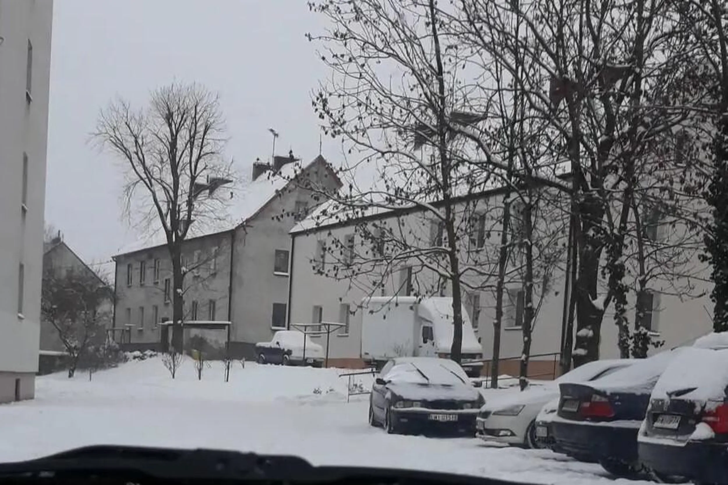 Parkowanie na drodze pożarowej, na zakazie postoju, na trawniku.