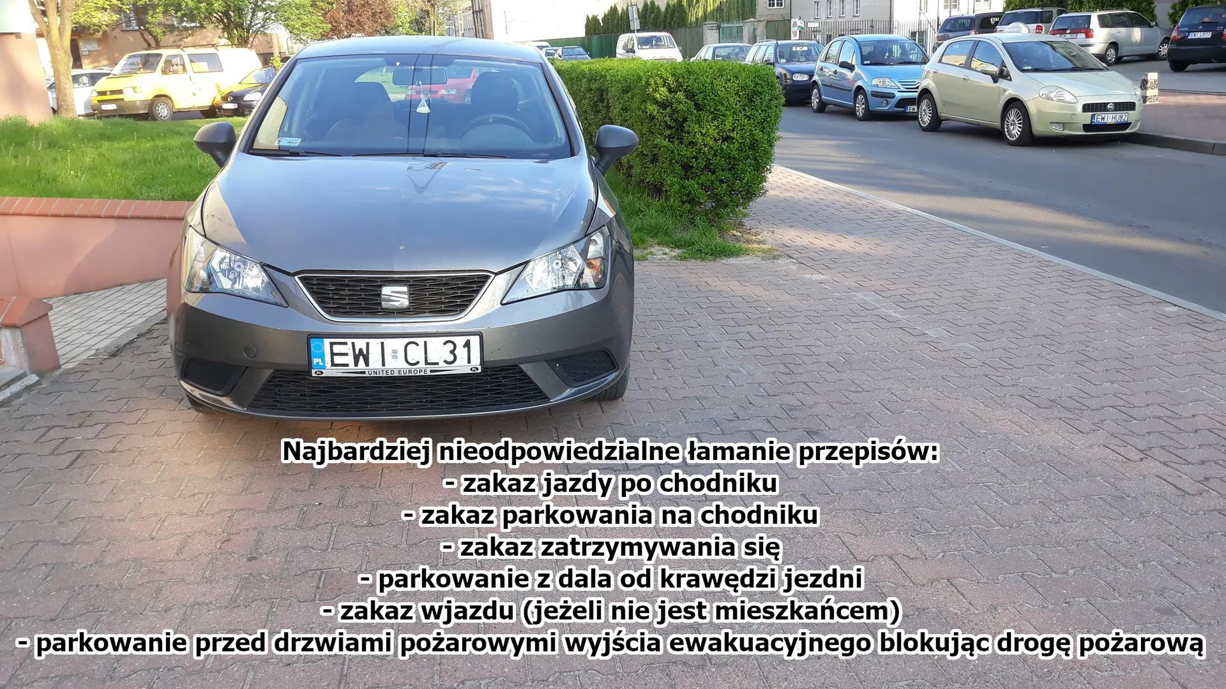 Mistrz chamstwa do potęgi