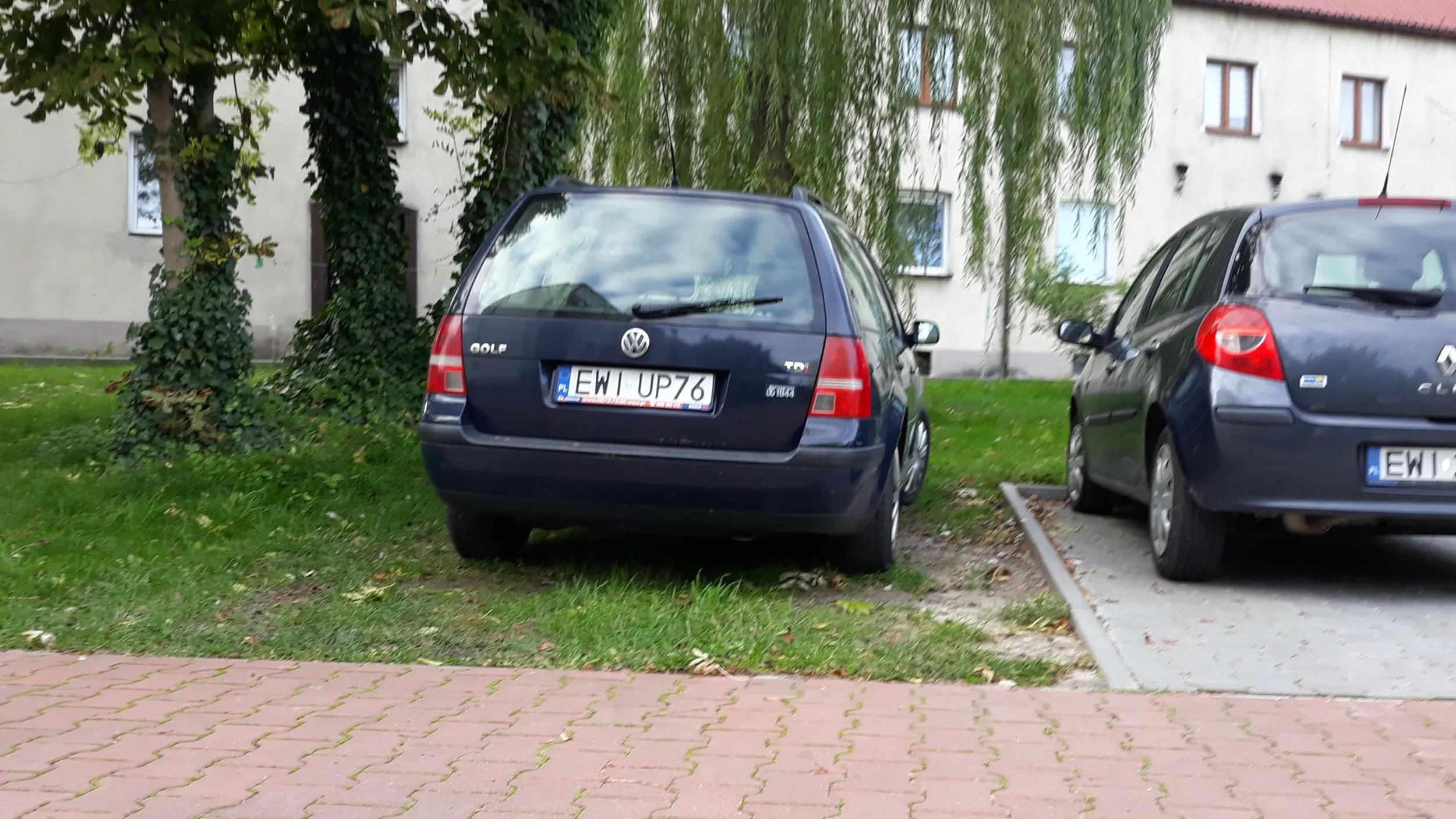 Parkowanie na zakazie postoju Parkowanie na trawniku