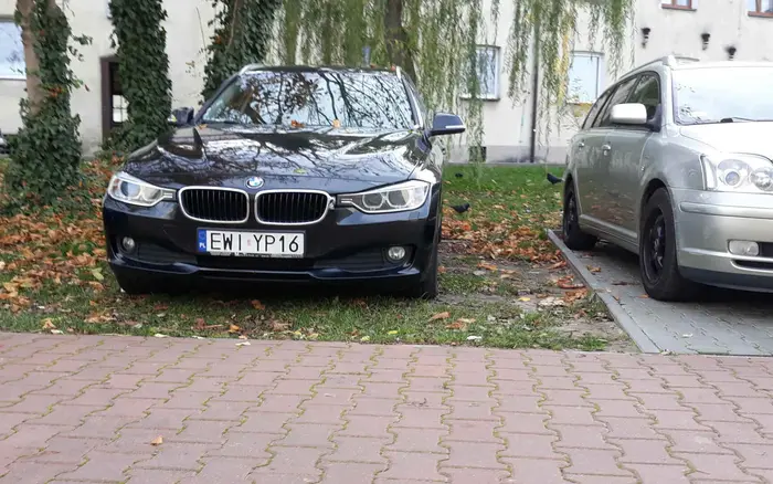 Wielokrotne ignorowanie przepisów i niszczenie zieleni.