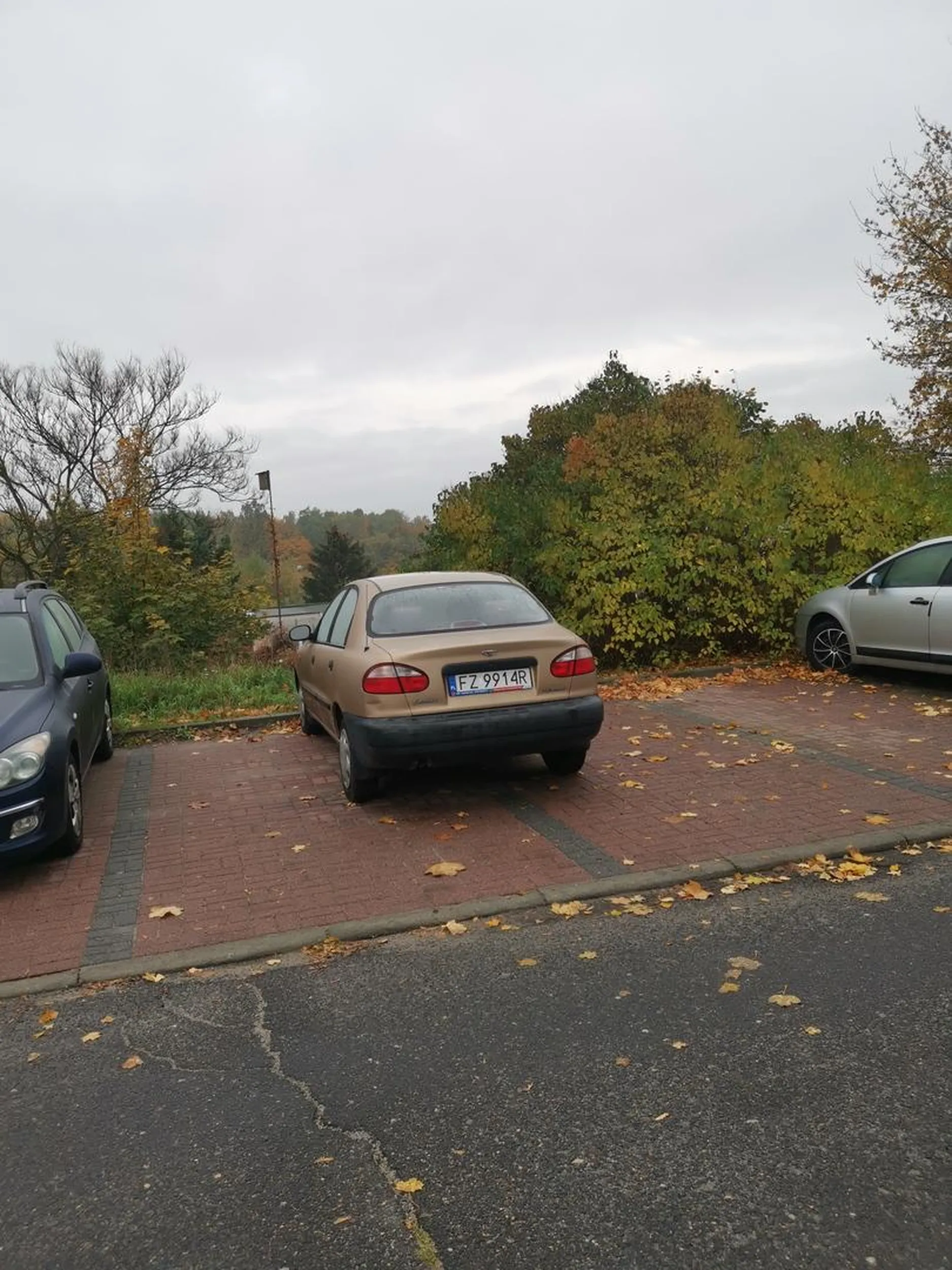 Po prostu brak słów