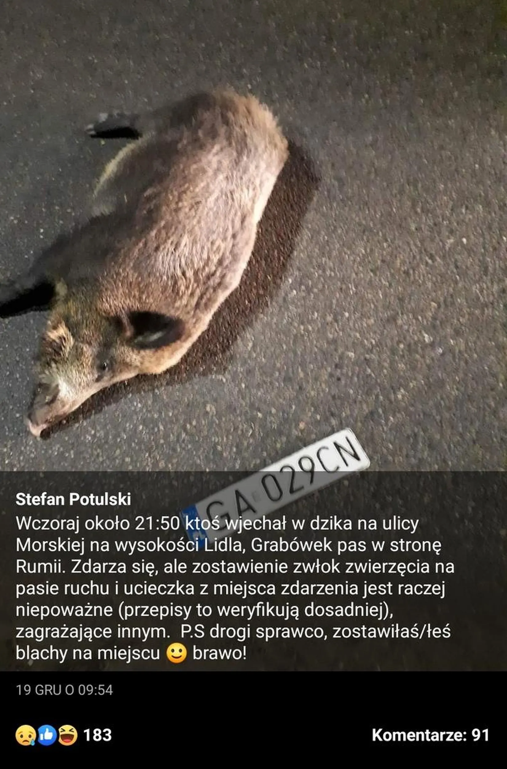18. Grudnia ok 21:50 wjechał w dzika na ulicy Morskiej na wysokości Lidla, Grabówek pas w stronę Rumii. Zdarza się, ale zostawienie zwłok zwierzęcia na pasie ruchu i ucieczka z miejsca zdarzenia jest raczej niepoważne (przepisy to weryfikują dosadniej), zagrażające innym.  P.S drogi sprawco, zostawiłaś/łeś blachy na miejscu :) brawo!