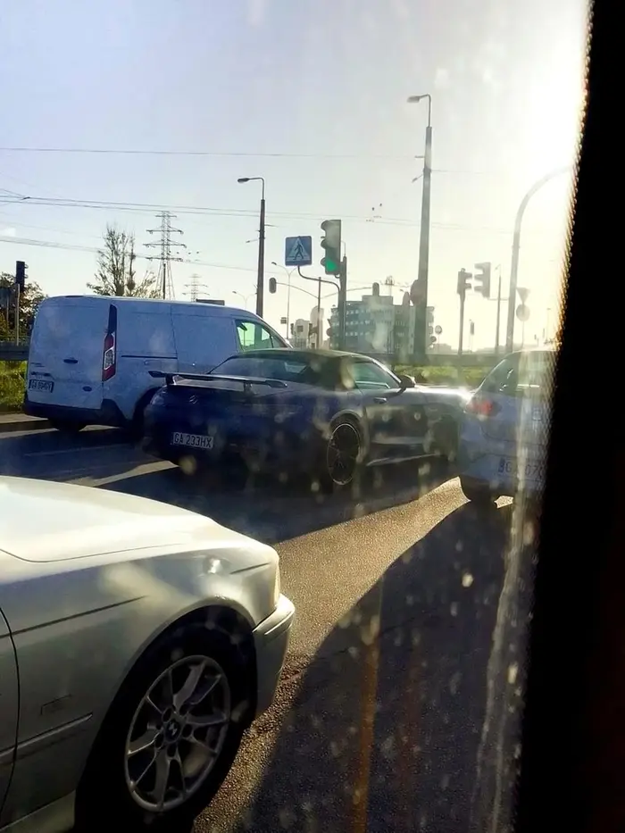 Mordeczko zajebisty merolek