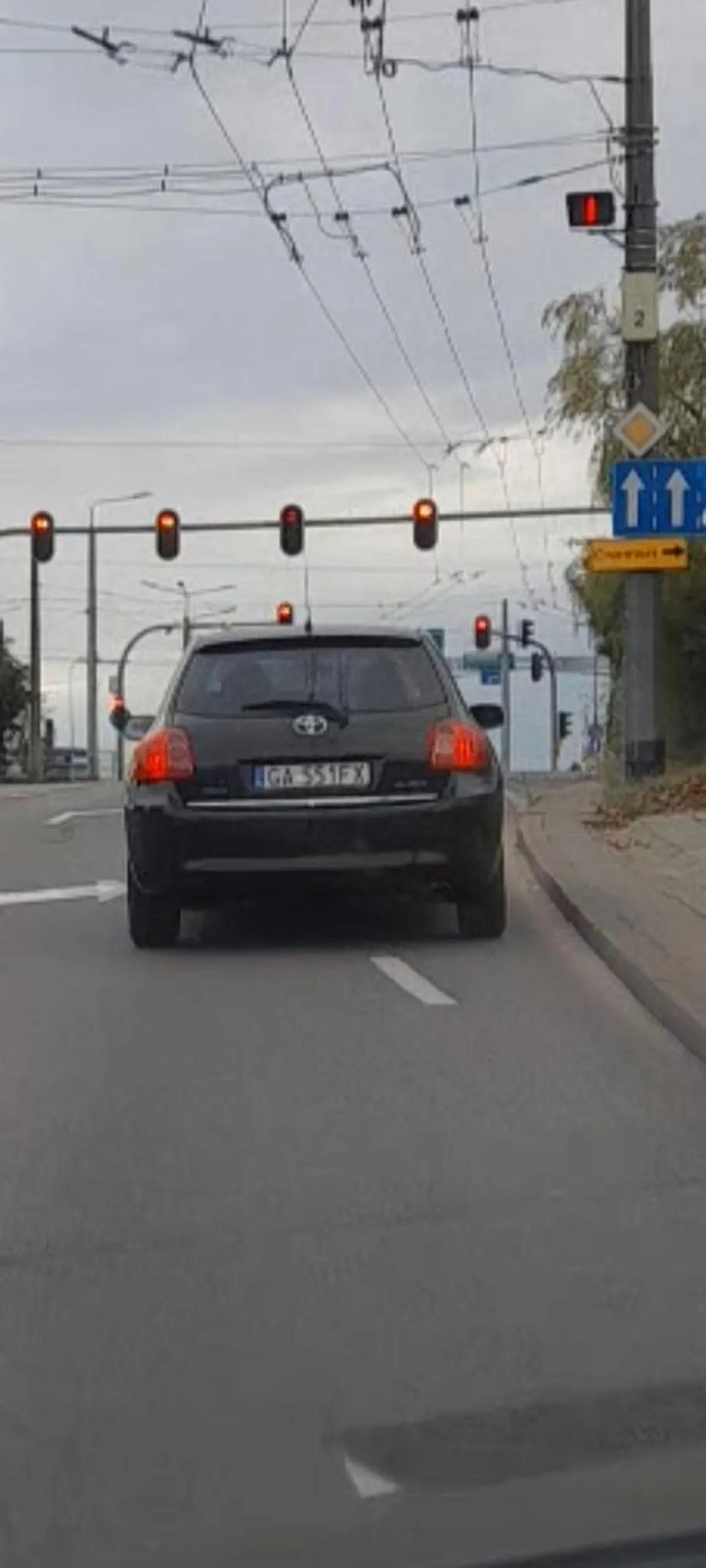 Blondi zacznij używać kierunków