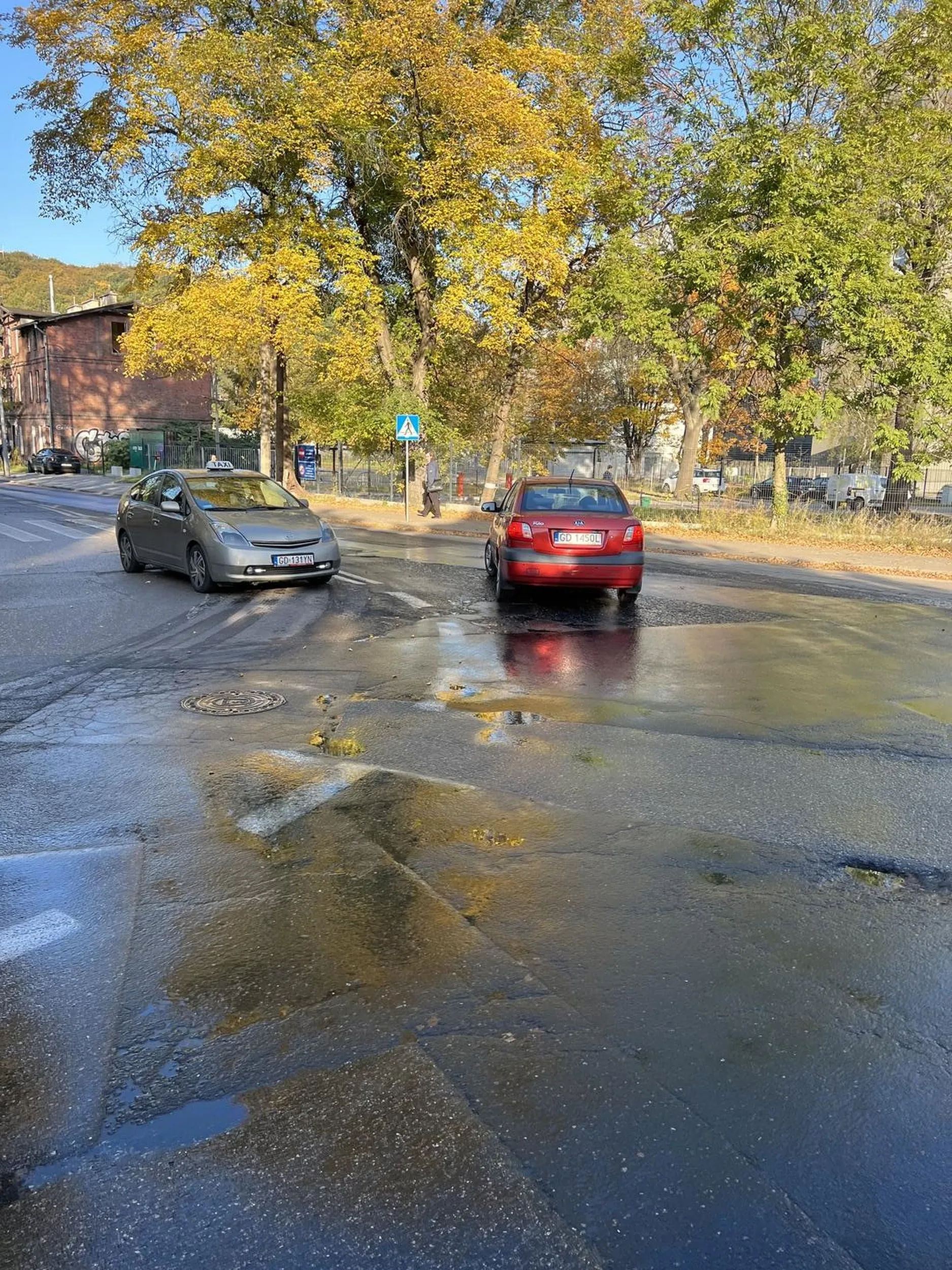 Autem porusza się starszy Pan, który prawdopodobnie nie jest już zdolny do prowadzenia auta ze względu na pogorszony wzrok i słuch. Kierowca bez żadnego zawahania wjeżdża na pasy po których chodzą piesi i przejeżdża po ich stopach. Osoba może stanowić zagrożenie na drogach publicznych, szczególnie na tych  o zwiększonym ruchu pieszych np. w okolicach  około szkolnych i uczelnianych.