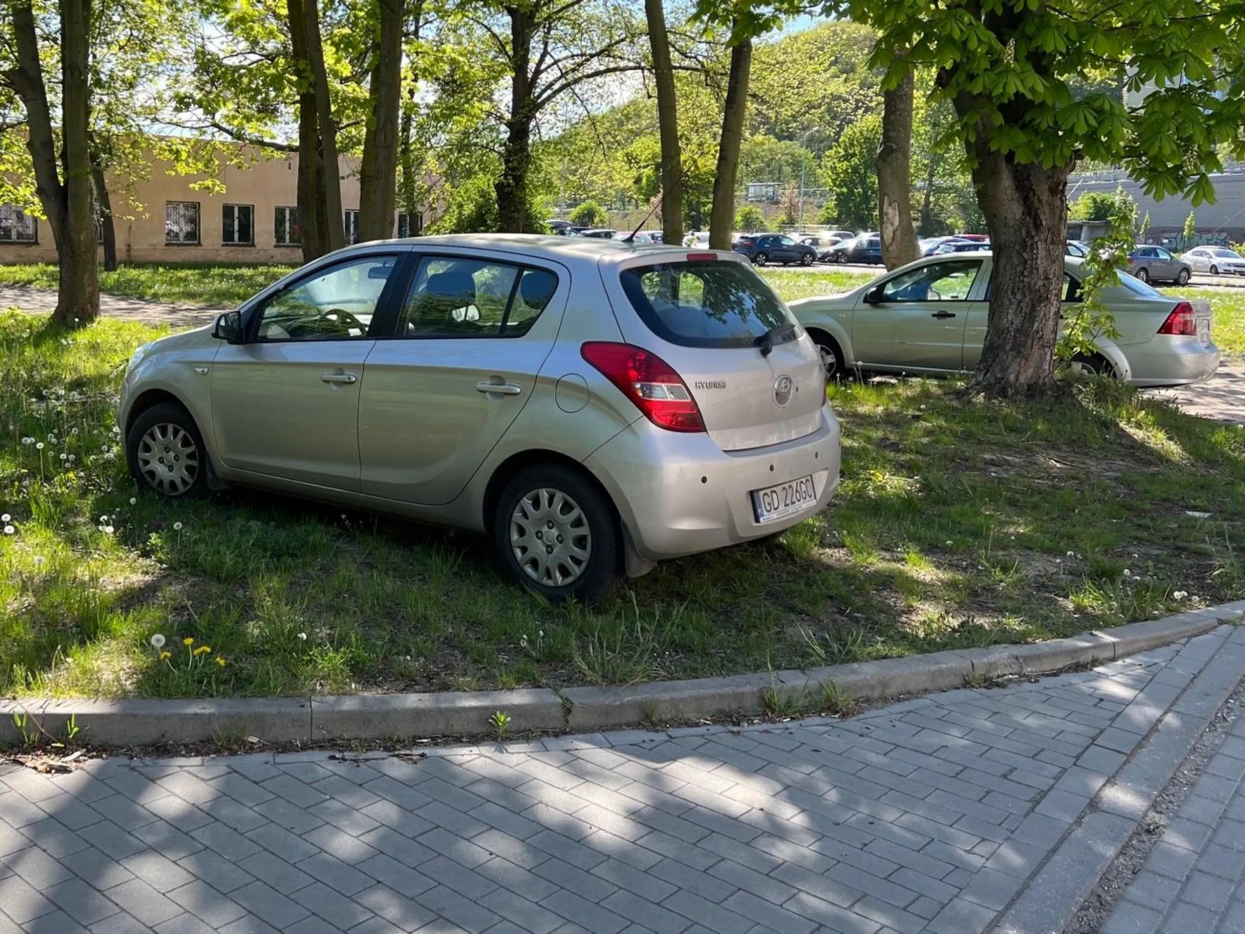 Na chodniku, na trawie, a miejsc na parkingu bardzo dużo. Doskonały przykład niszczenia trawników i chodników. A tyyyle miejsca się marnuje na zamkniętym wieeeelkim parkingu dla urzędników. I jeszcze obok parking piętrowy raczej tez nie zapełniony na ful. Jestem tu kolejny raz i zawsze jest podobnie.
