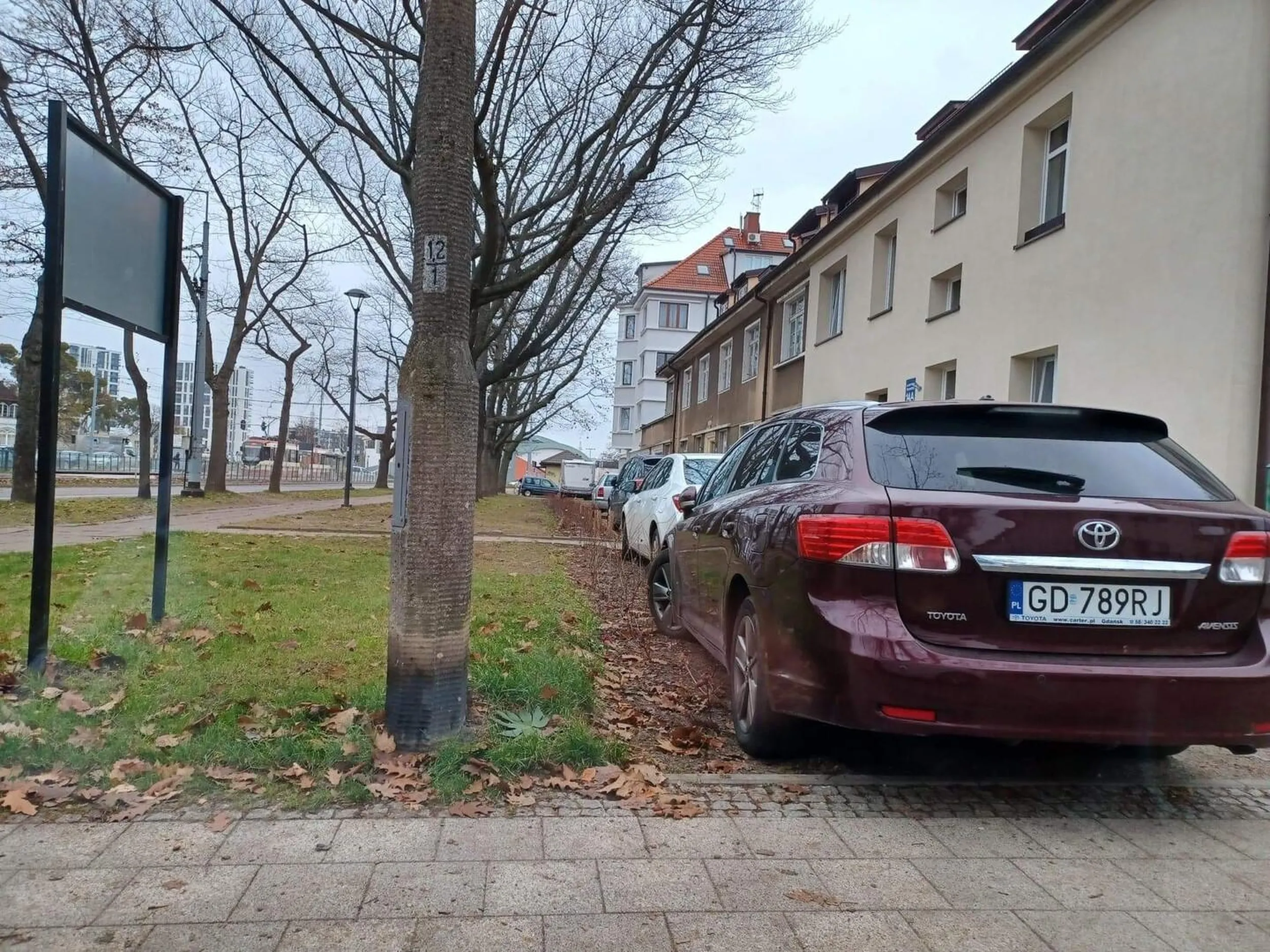 Ani nowe nasadzenia, ani wygrodzenie nie powstrzymały kierowców, którzy przy ul. Wojska Polskiego w Gdańsku taranują drewniane paliki i rozjeżdżają nowo nasadzone rośliny. 14.000 zł na rośliny pochodziło z budżetu Rady Dzielnicy.