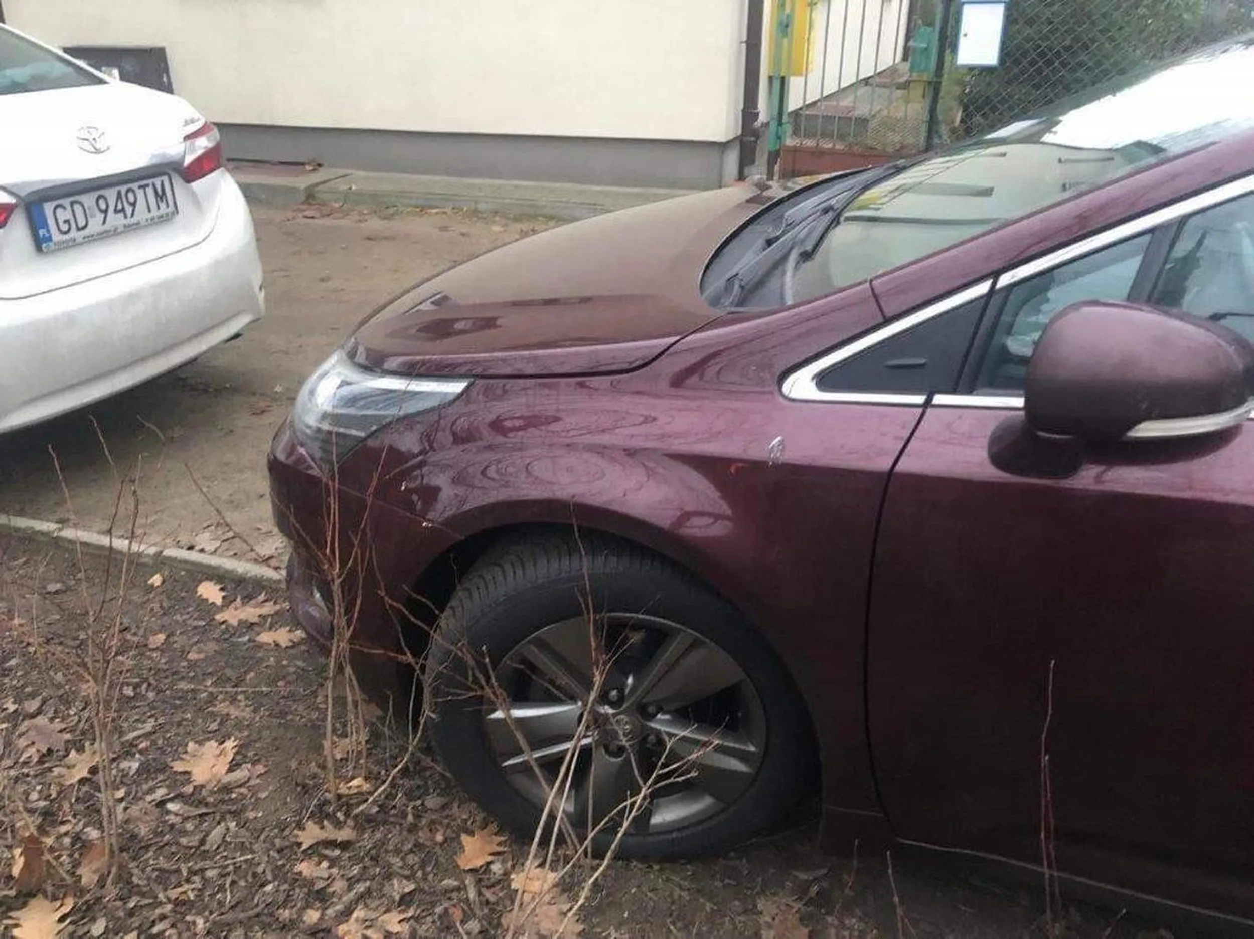 Ani nowe nasadzenia, ani wygrodzenie nie powstrzymały kierowców, którzy przy ul. Wojska Polskiego w Gdańsku taranują drewniane paliki i rozjeżdżają nowo nasadzone rośliny. 14.000 zł na rośliny pochodziło z budżetu Rady Dzielnicy.