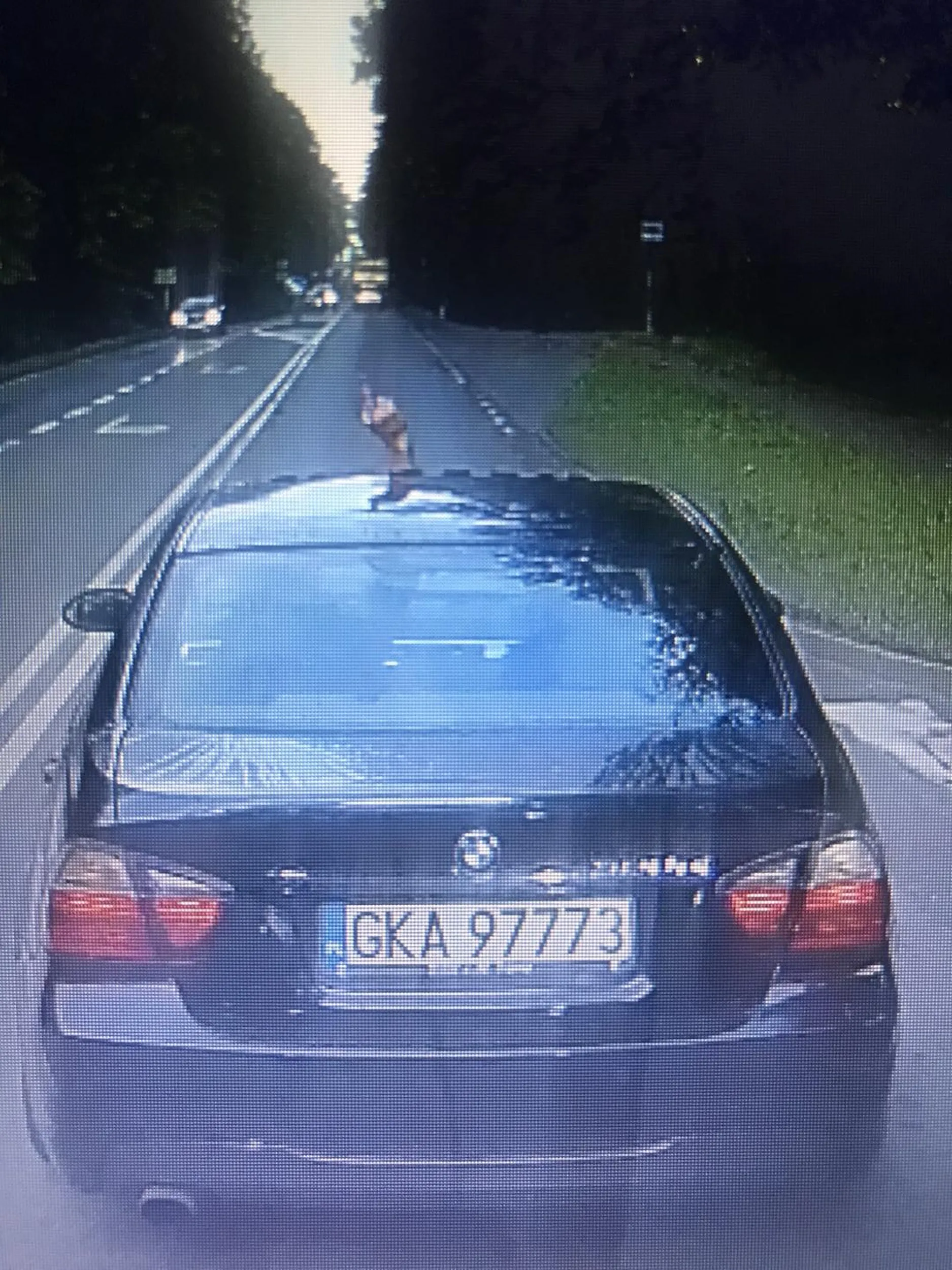 Taki uprzejmy kartuziak ?