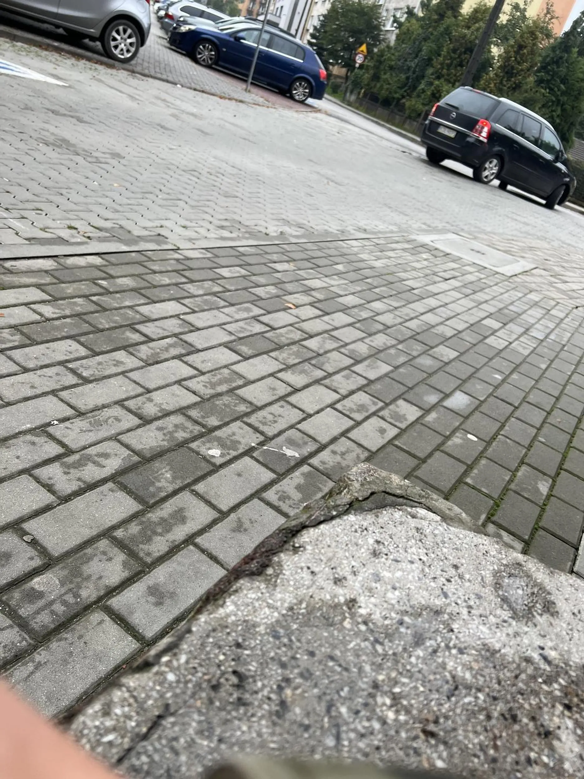 Zaśmieca ulice wyrzucając papierki przy wysiadaniu