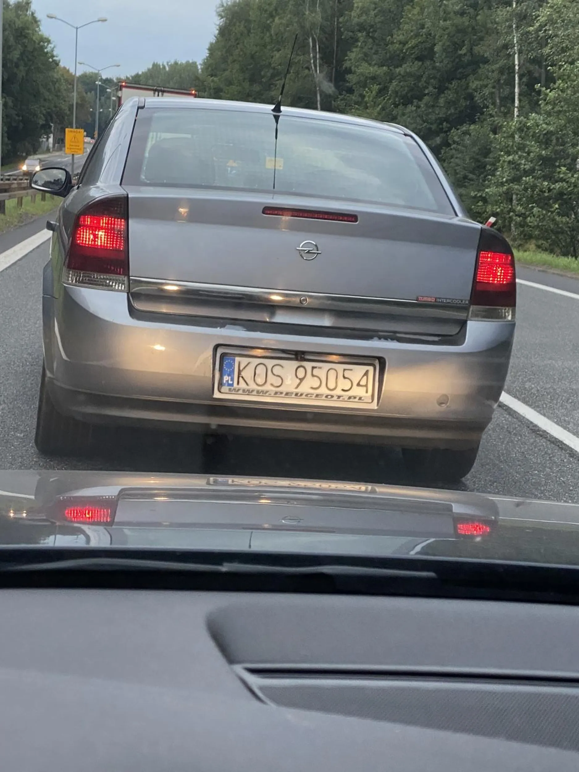 Ameba umysłowa co wyjeżdża celowo przed maskę i ostro hamuje, ten burak również lubuje w nadużywaniu świateł drogowych i siedzeniu na zderzaku.