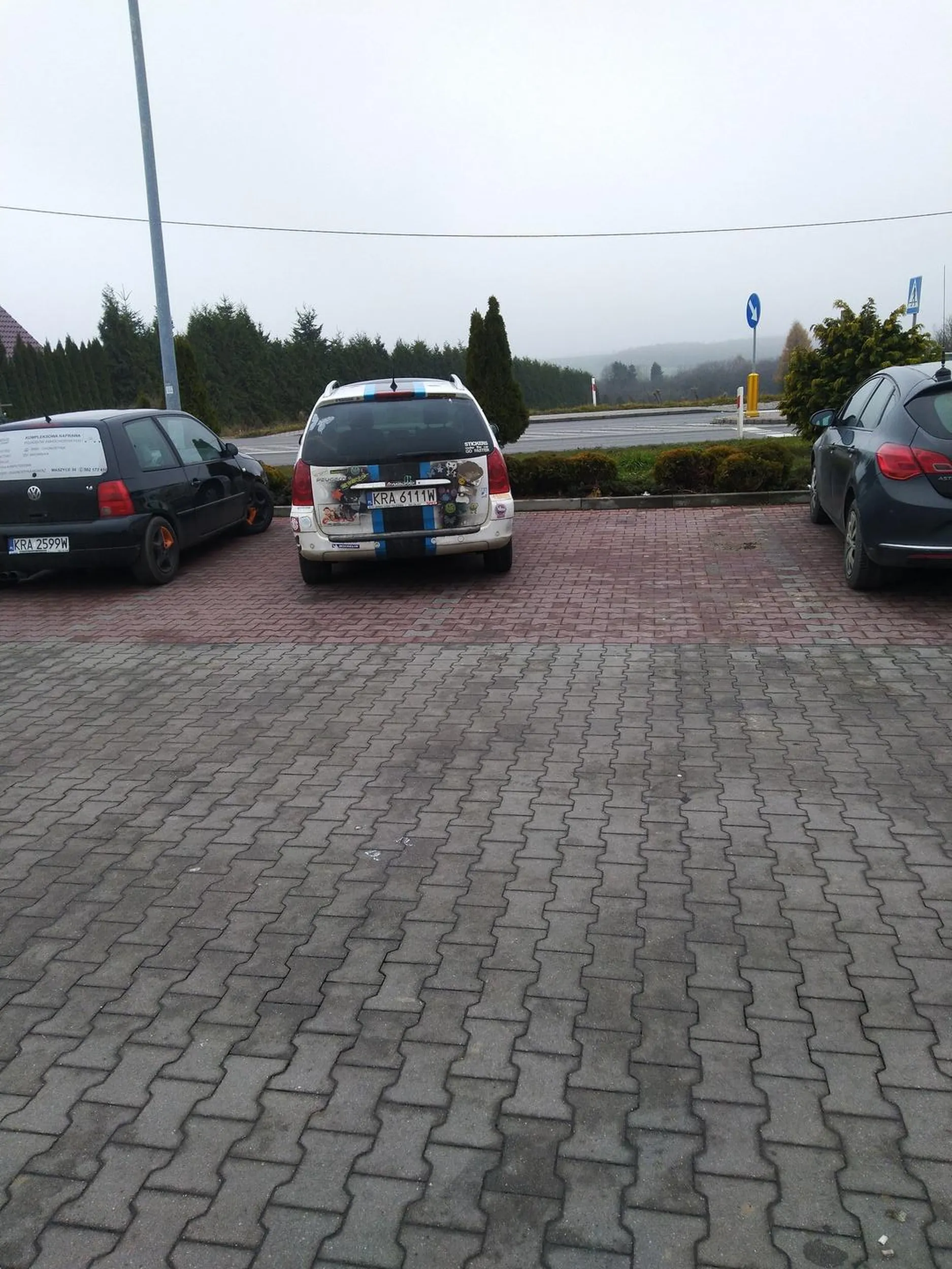 Kolejny mistrz parkowania