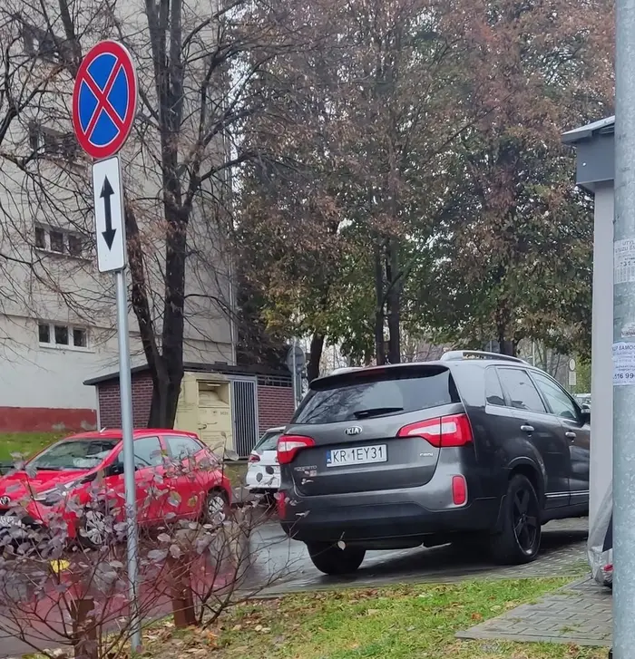 Śmieć nie umiem parkować normalnie