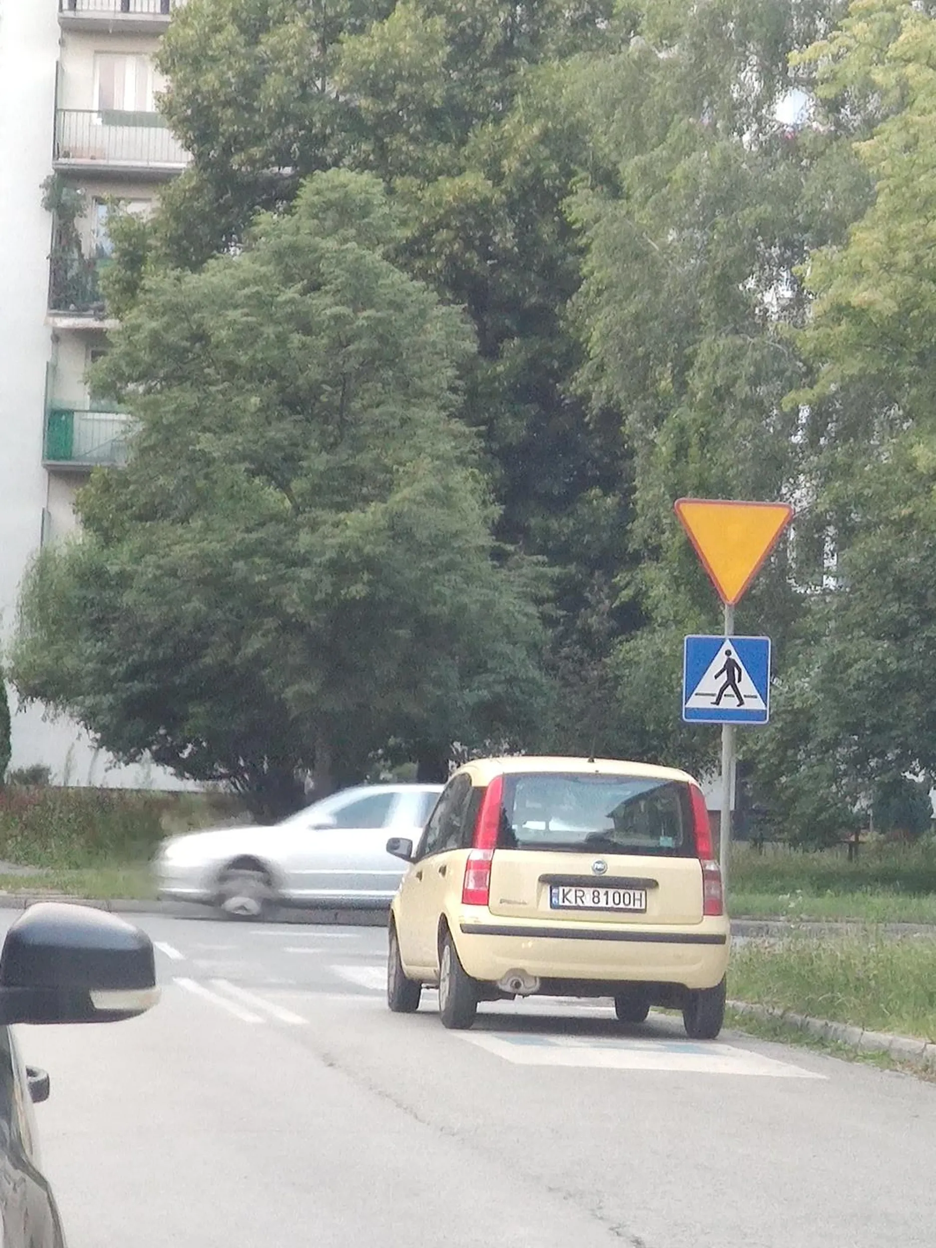 Baran parkuje przed pasami, na skrzyżowaniu.