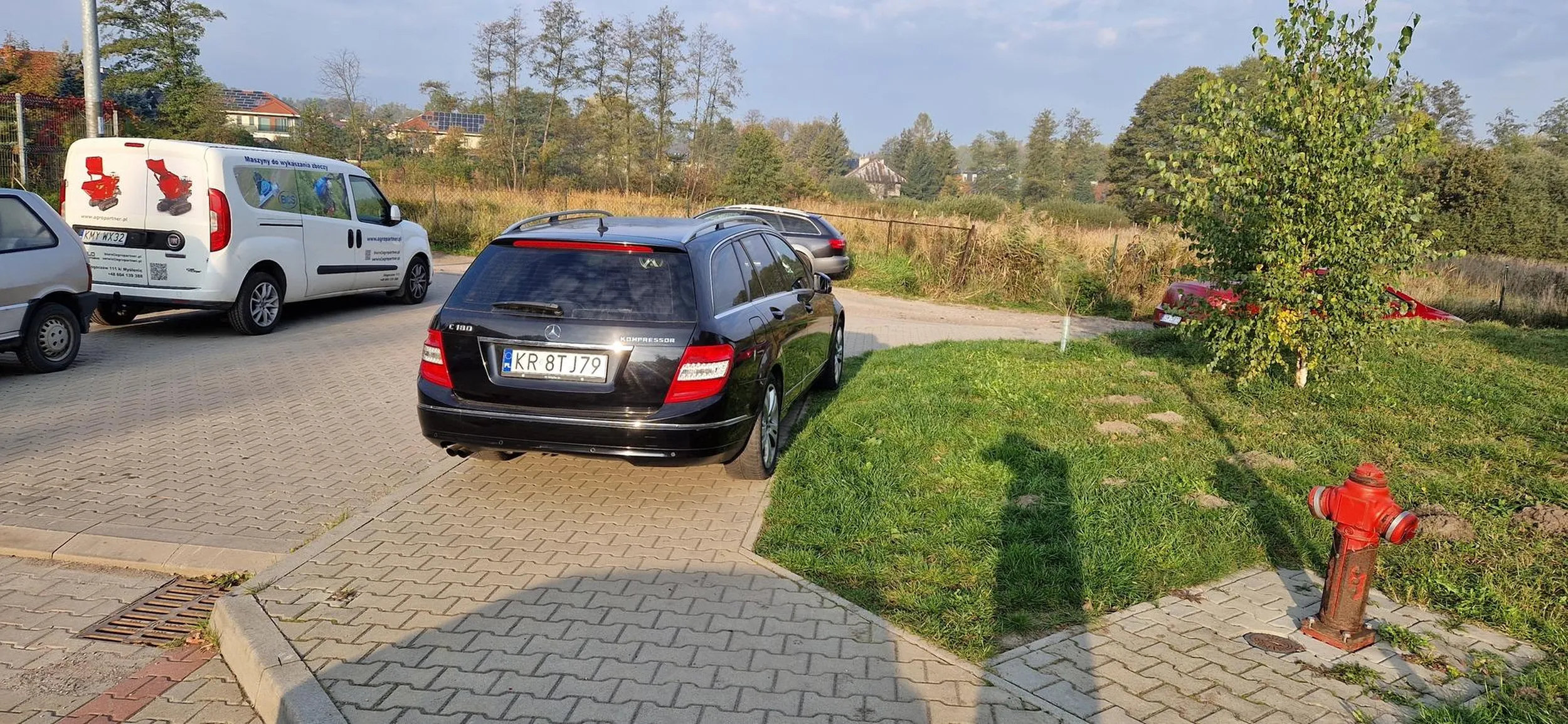 Klasyczne parkowanie na całym chodniku + kawałek trawnika bo mało.