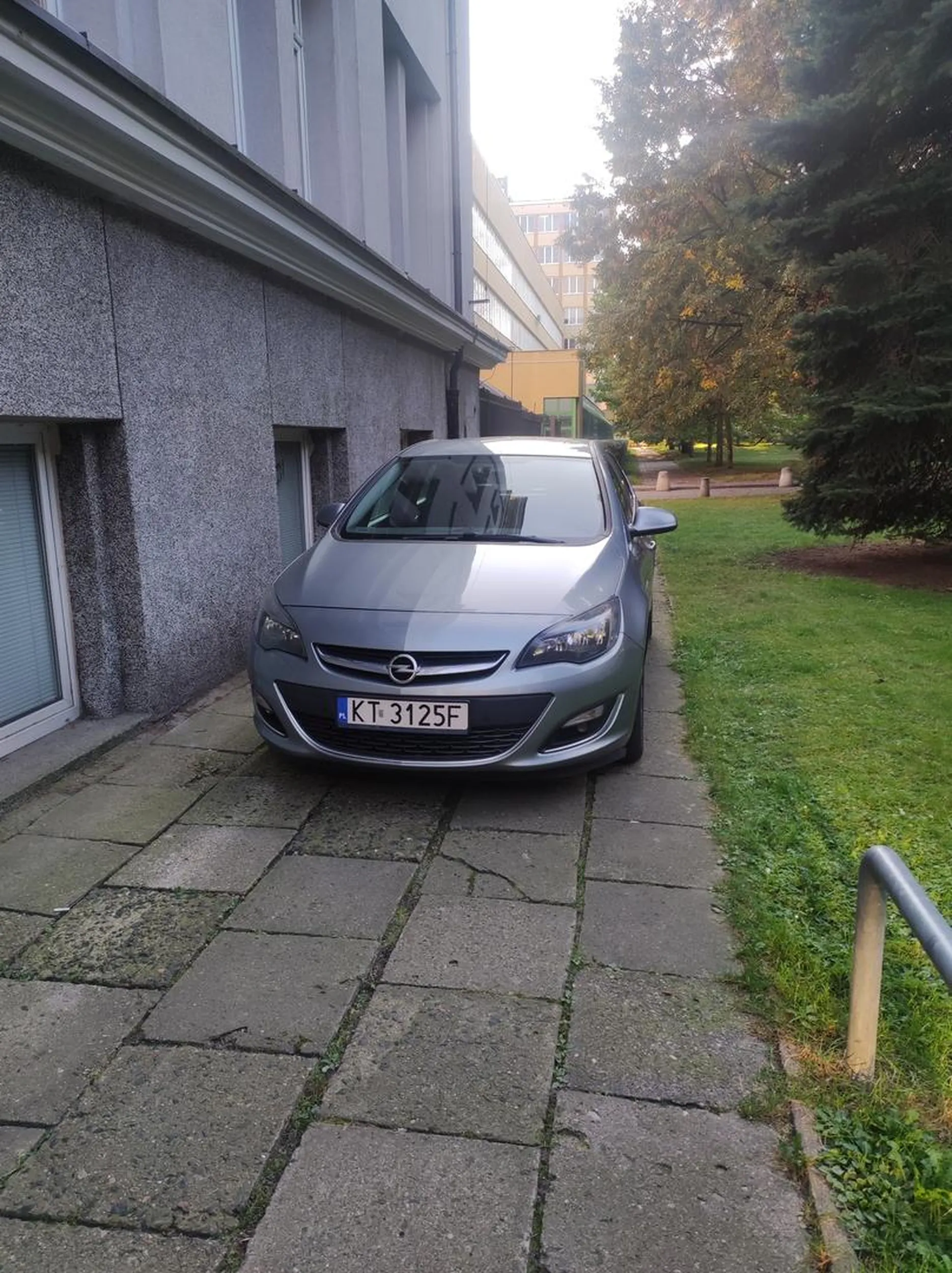 Miszcz parkowania…