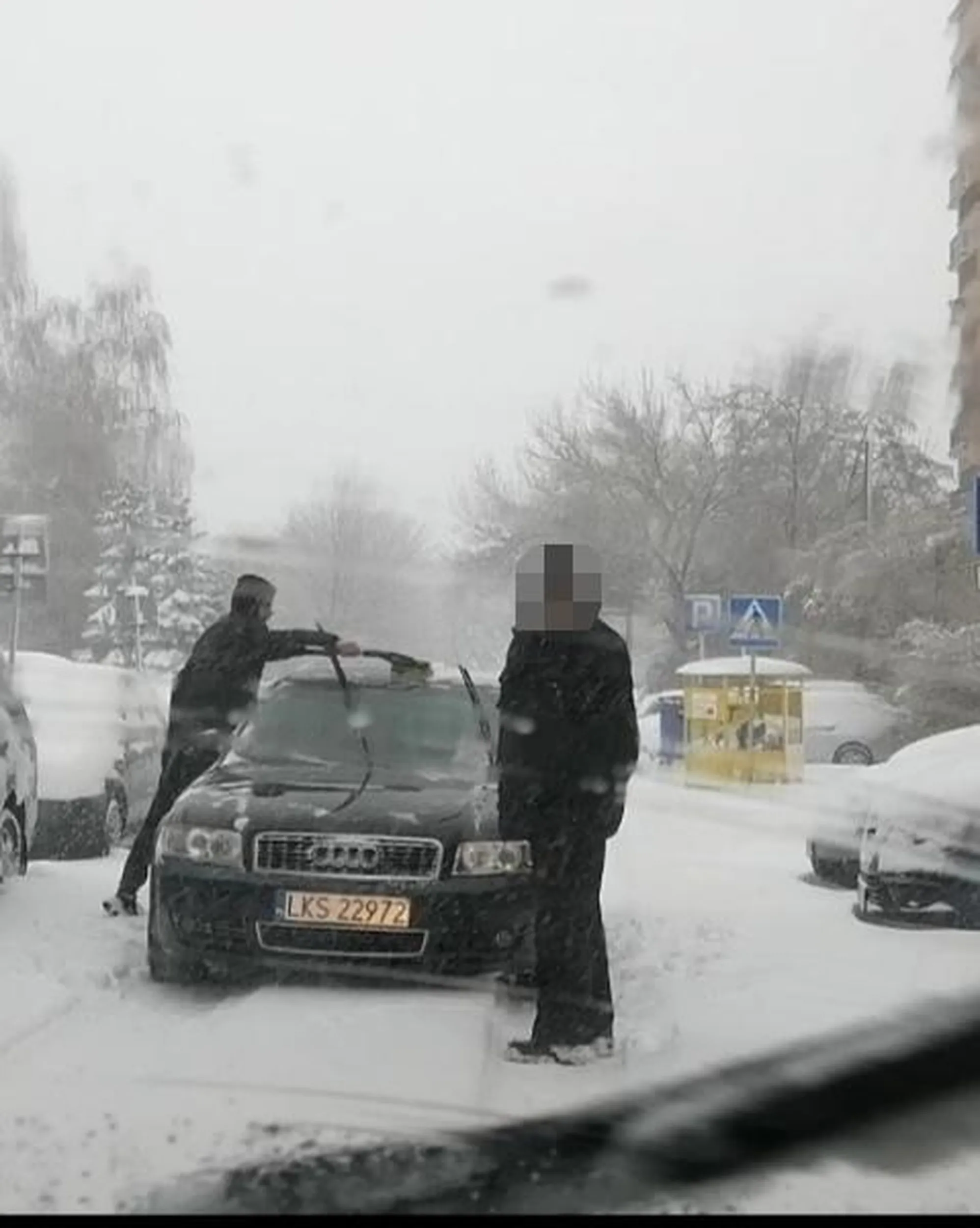 Symdrom małego przyrodzenia. Nie zna przepisów. Nie umie odśnieżyć auta(twierdzi że nie widzi nadjeżdżającego auta) . Nie ustępuje pierwszeństwa.