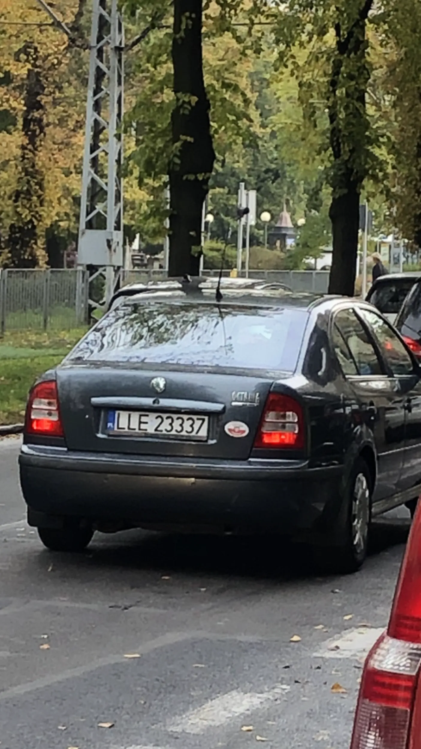 Facet nie ustępuje pieszym wejścia na pasy, macha łapami, wyzywa i pokazuje środkowy palec. Agresor w centrum Szczecina.
