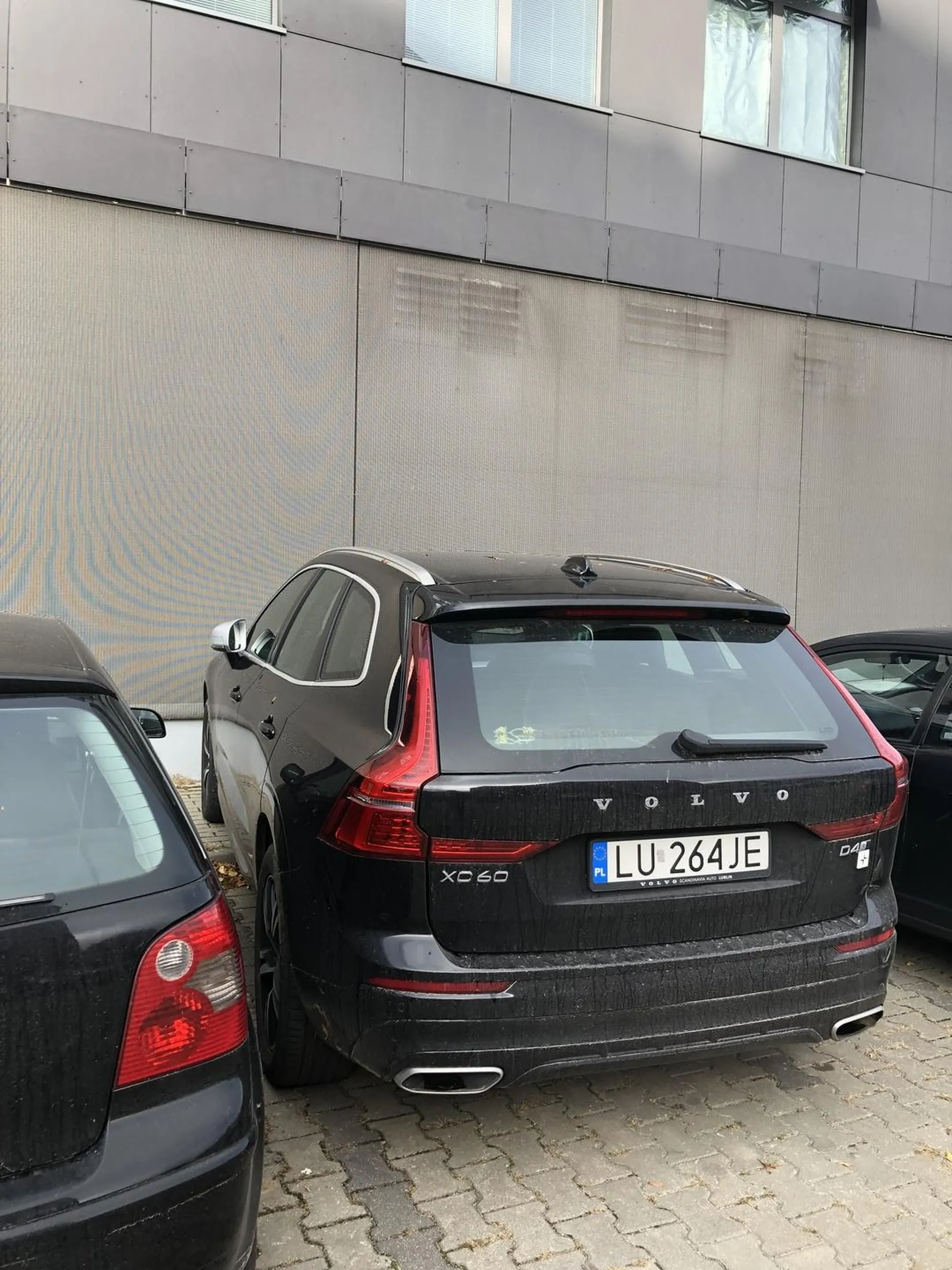 Mistrz parkowania …