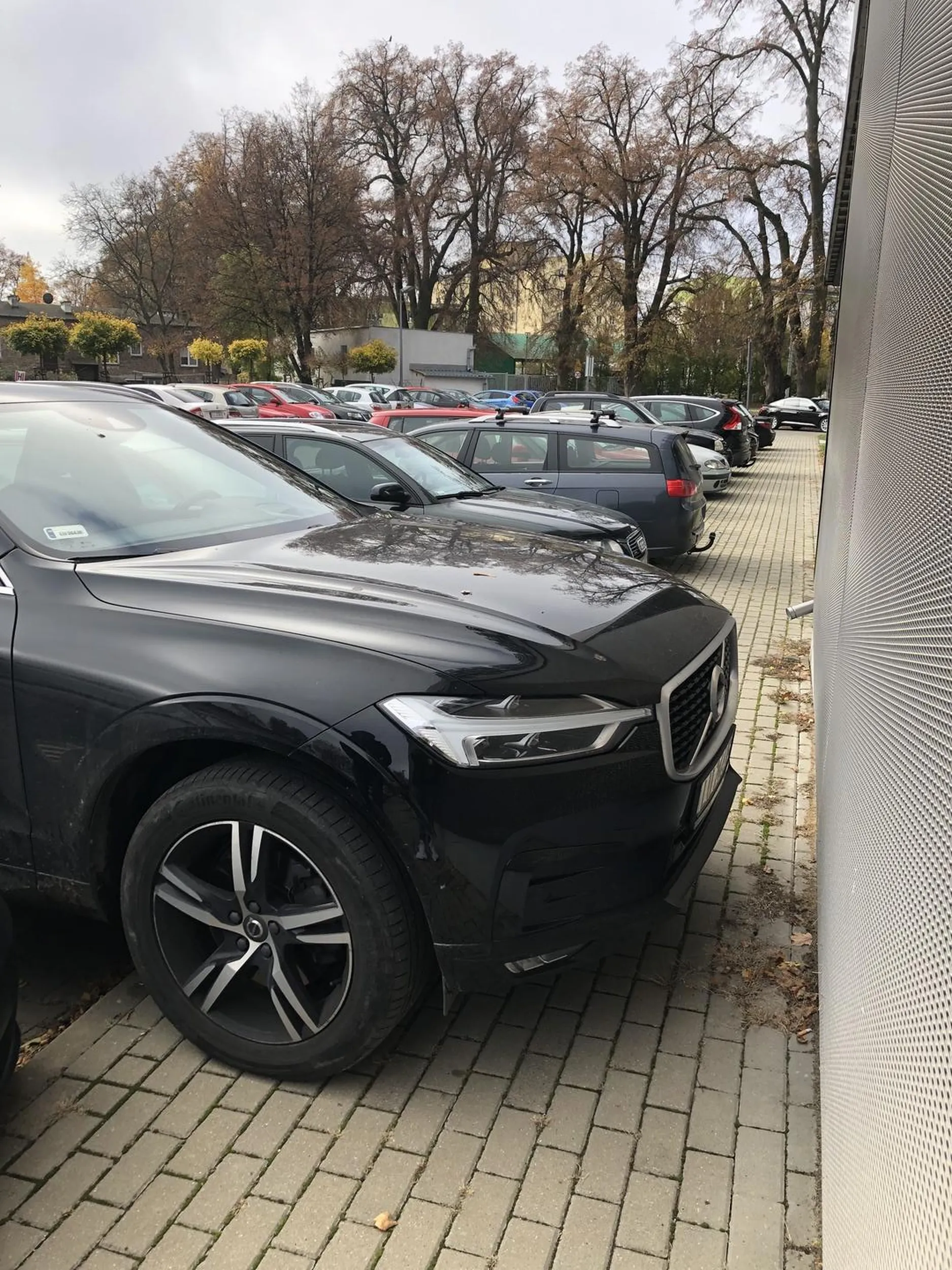 Mistrz parkowania …