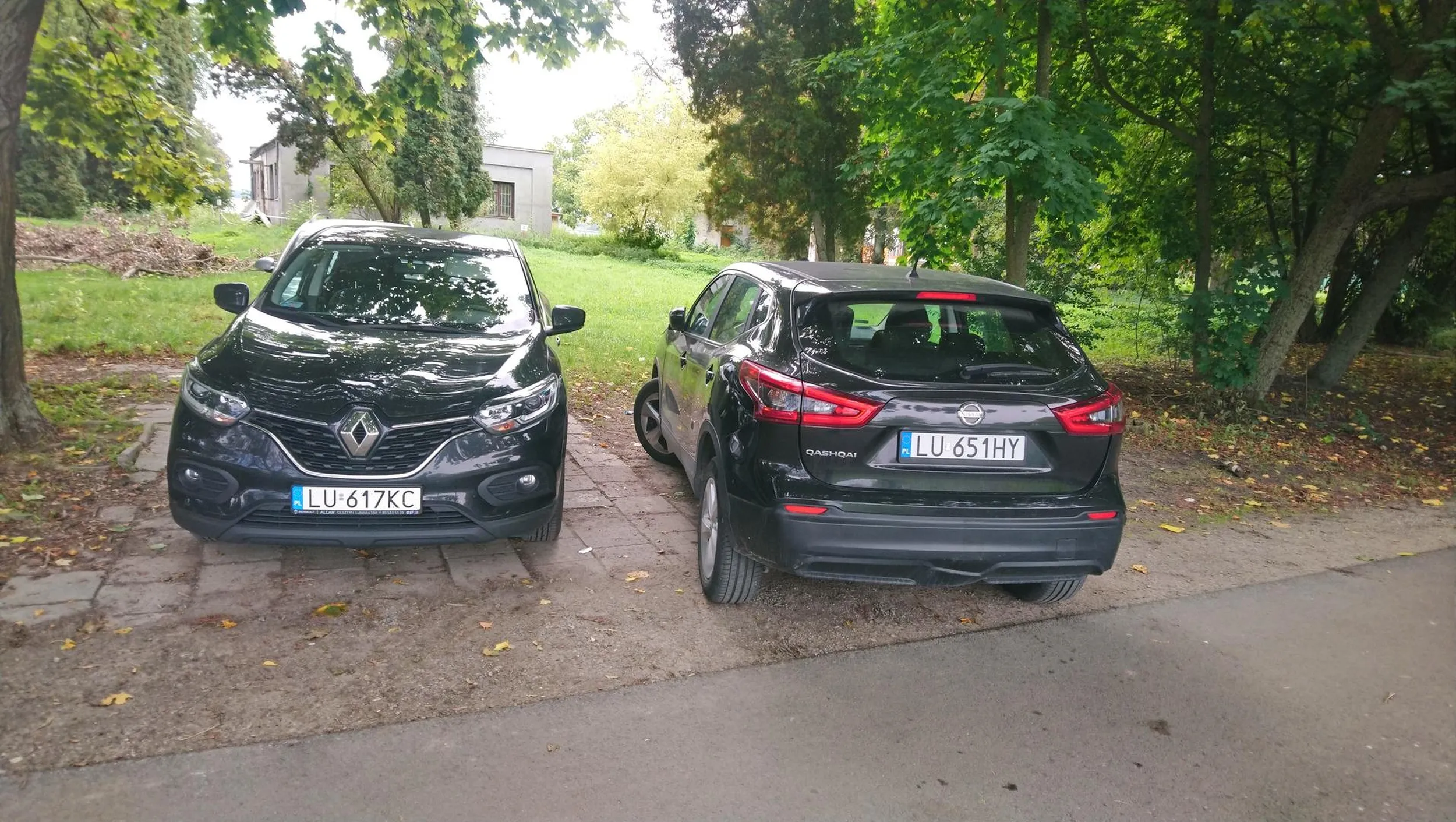 Wypoczynek na łonie natury. Poz zakazie, na trawniku. Deb i Cham z kierowcy!